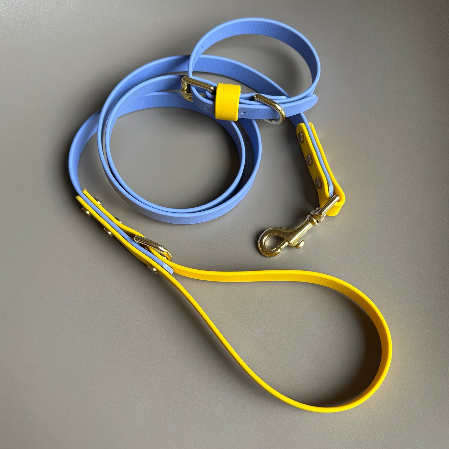 Alberto Colourblock BioThane® Lead