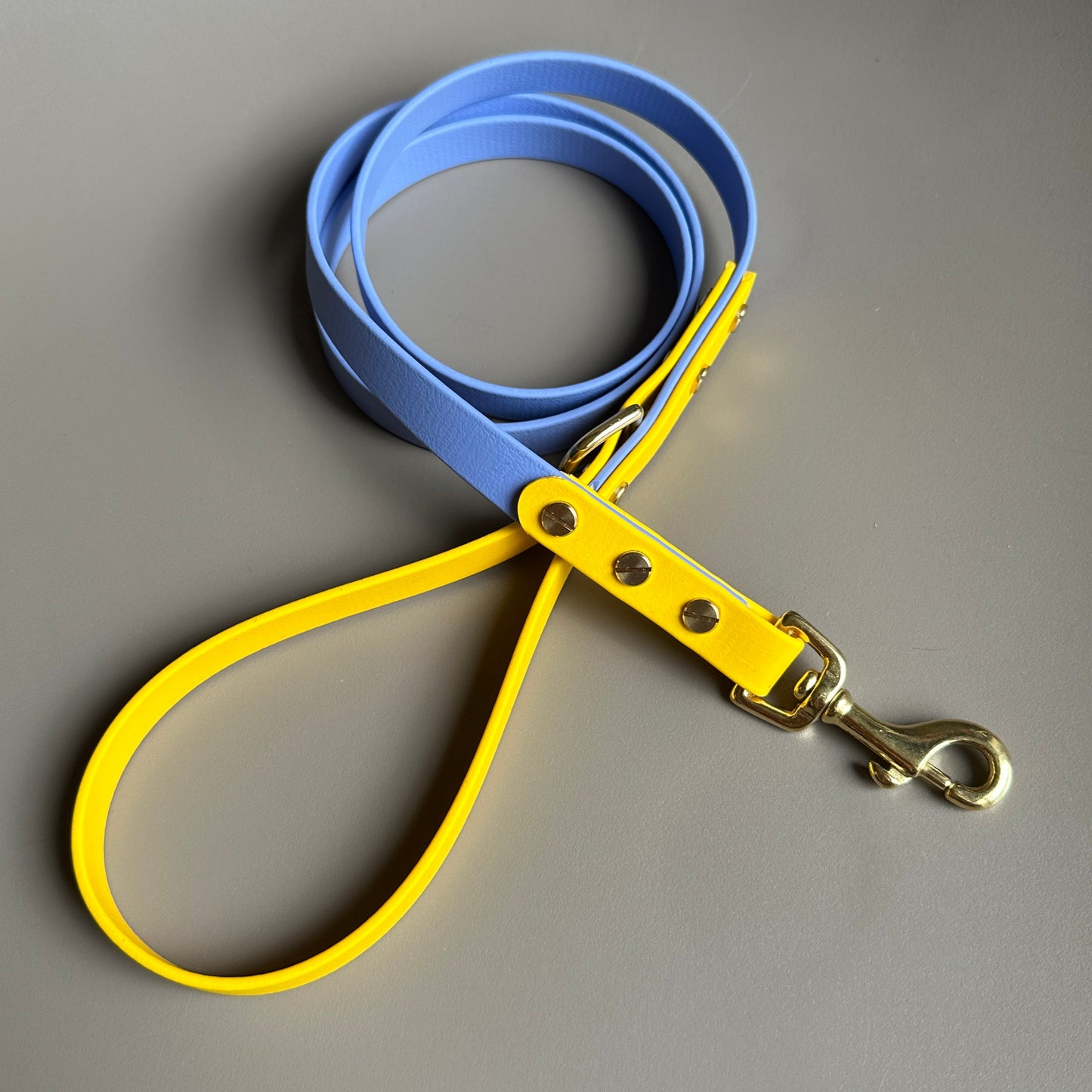 Alberto Colourblock BioThane® Lead