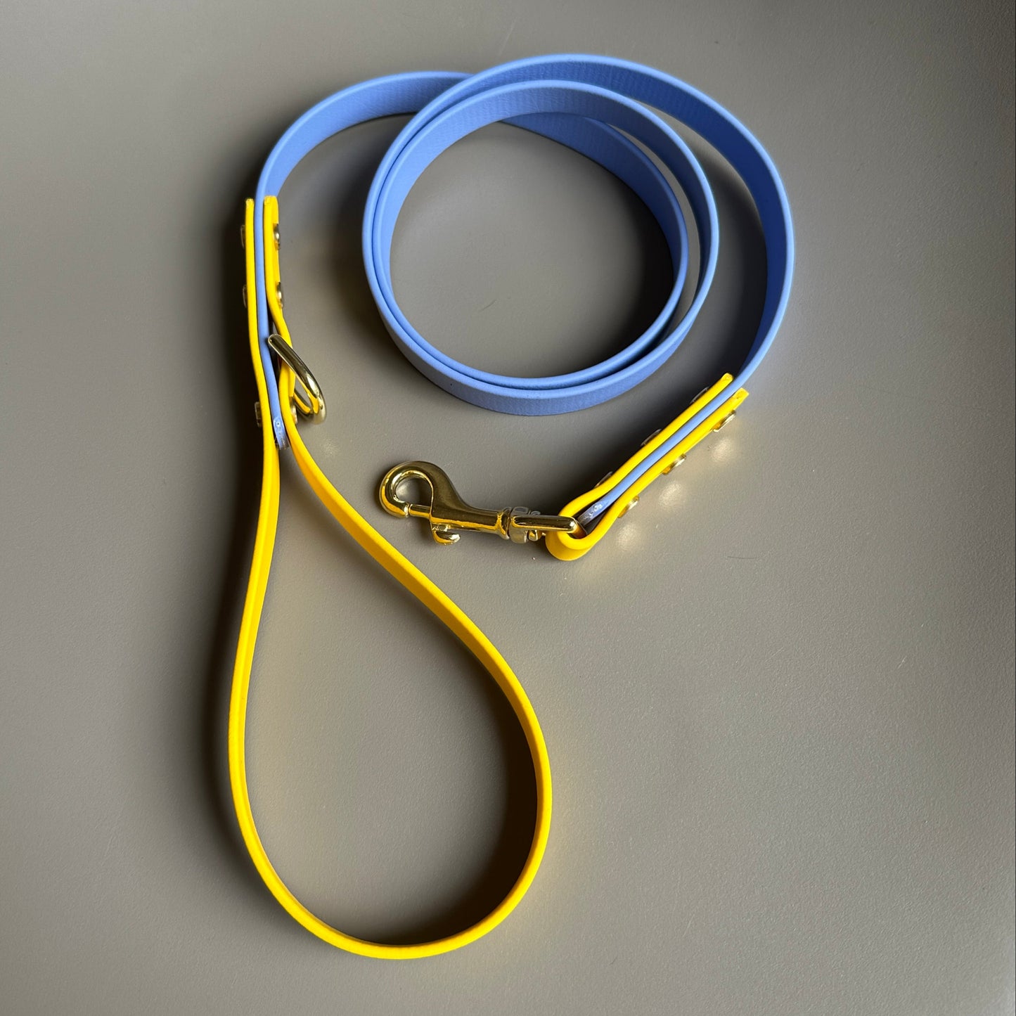 Alberto Colourblock BioThane® Lead