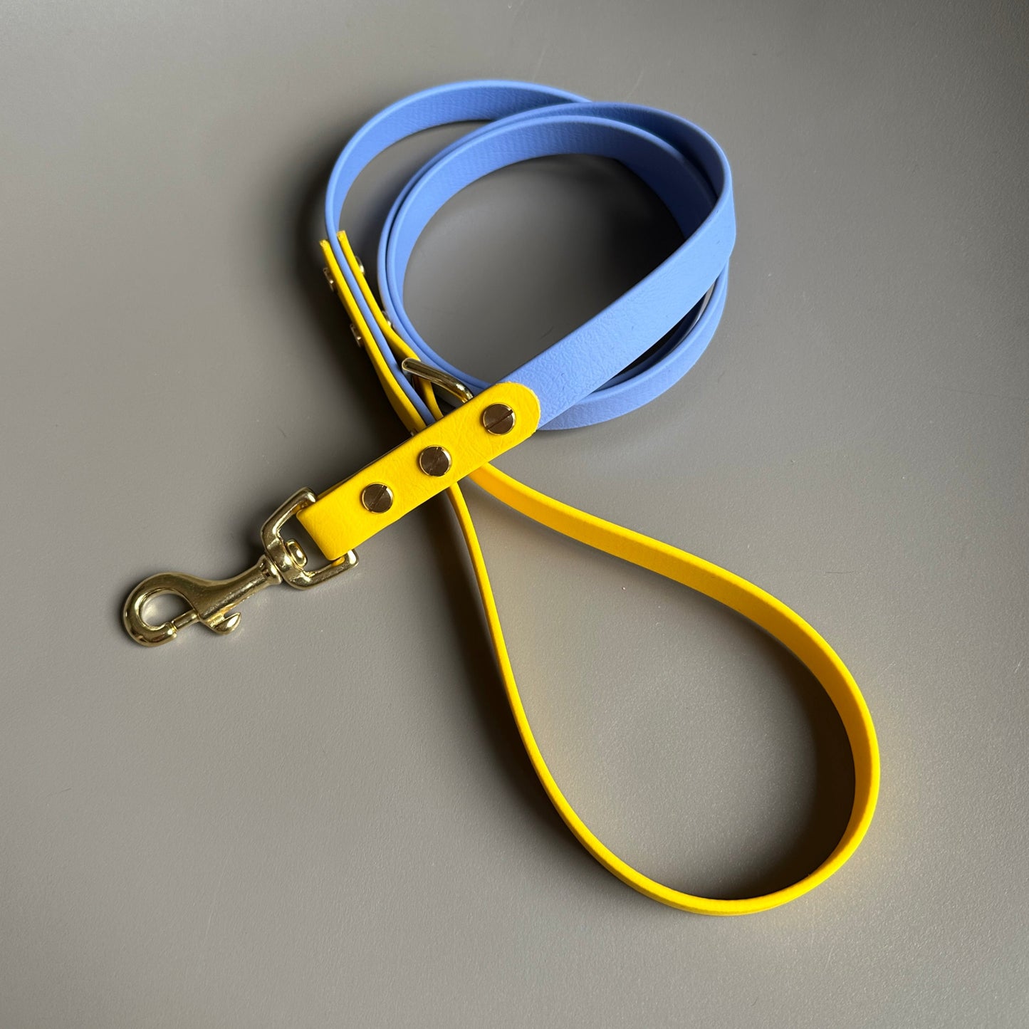 Alberto Colourblock BioThane® Lead