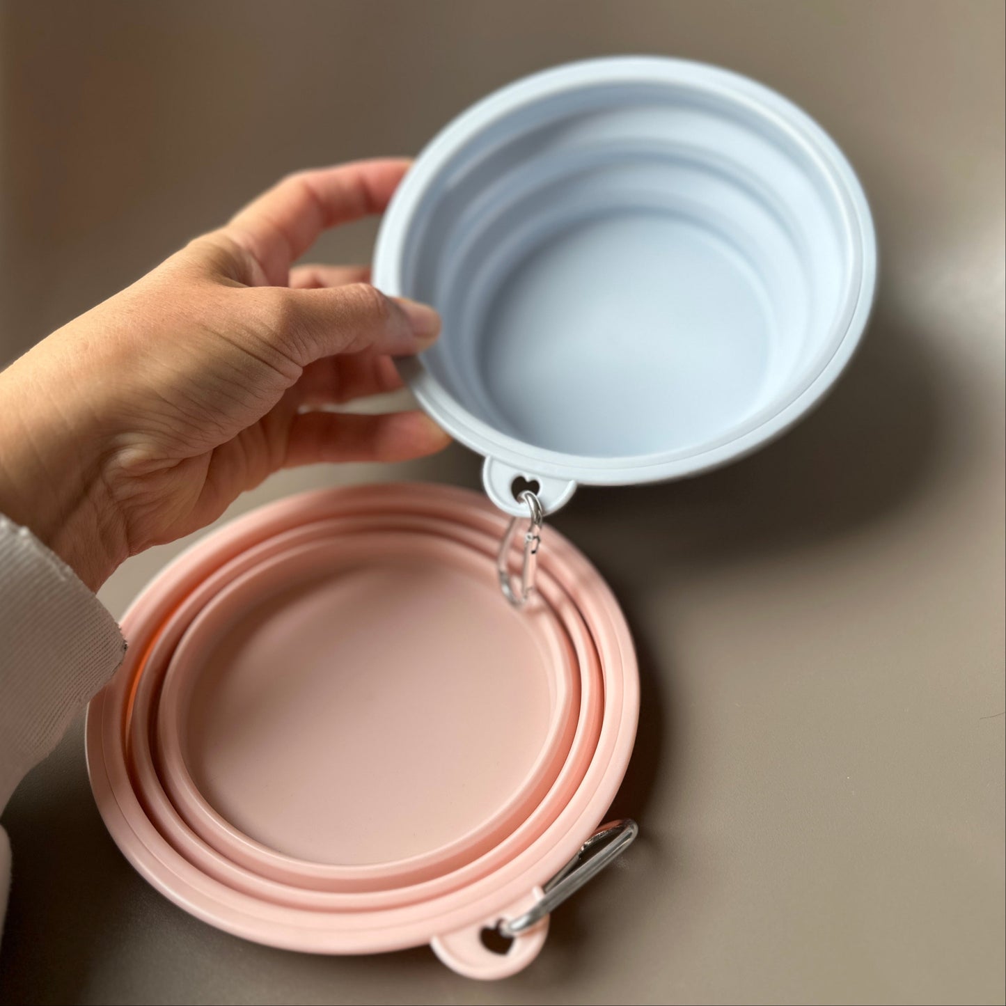 Collapsible Travel Water Bowl