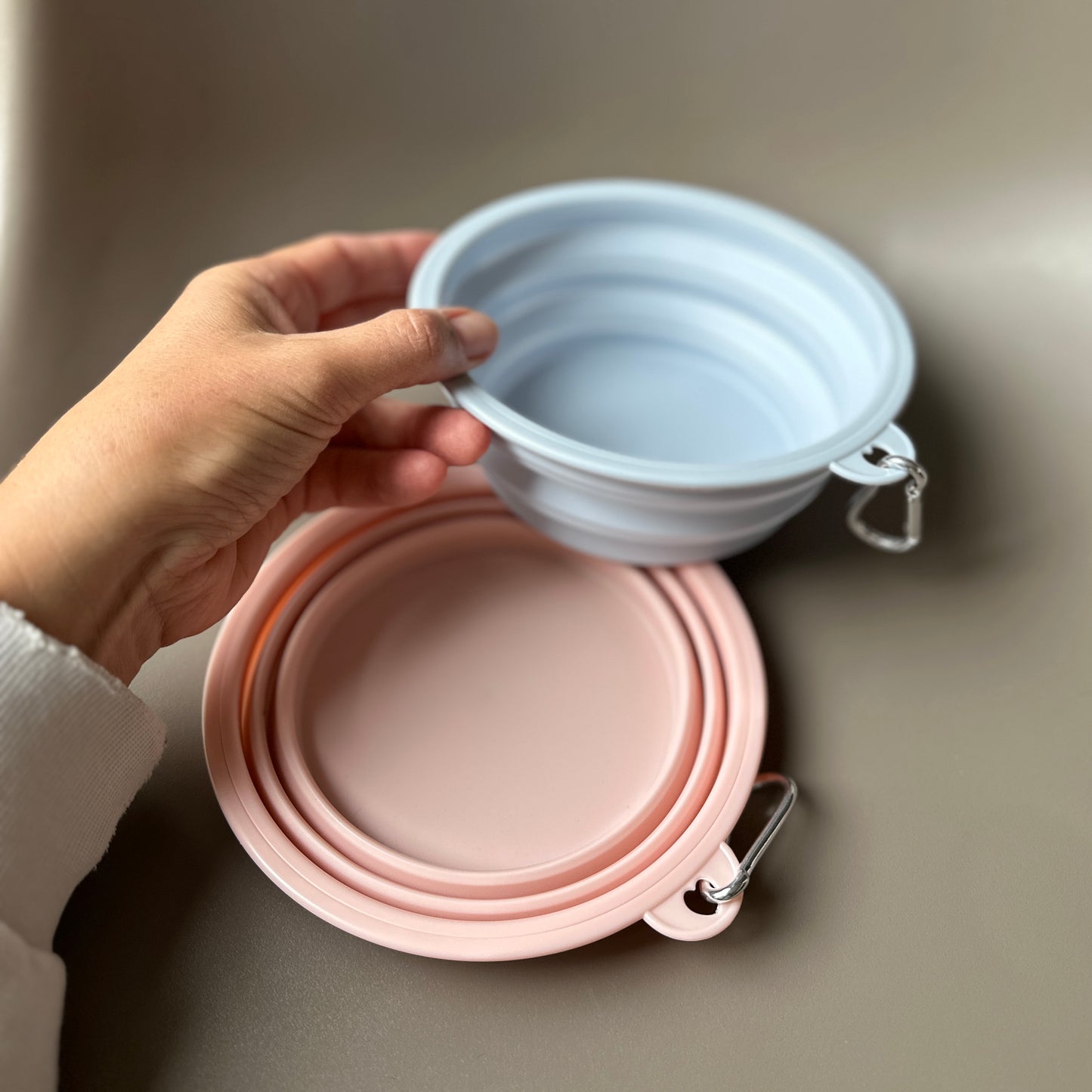 Collapsible Travel Water Bowl