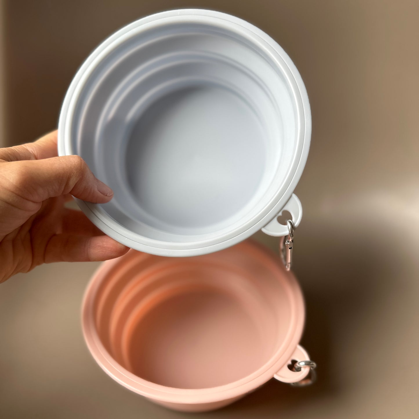 Collapsible Travel Water Bowl