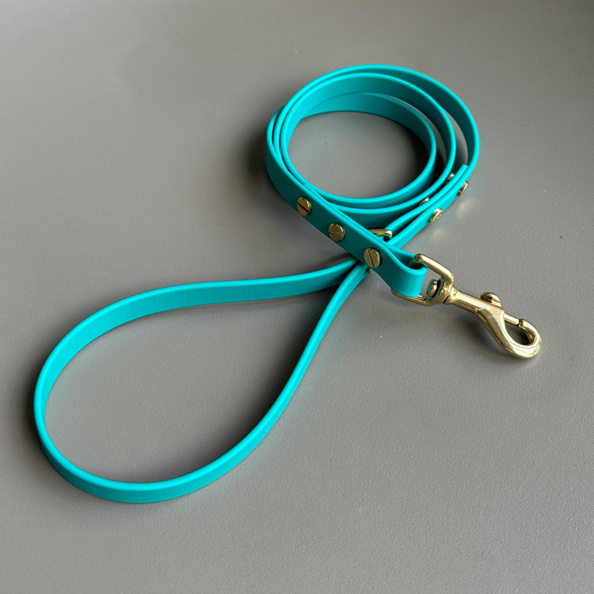 Turquoise BioThane® Lead