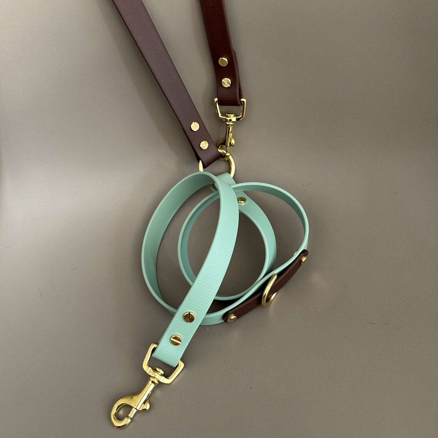 Crossbody Multiway BioThane® Lead