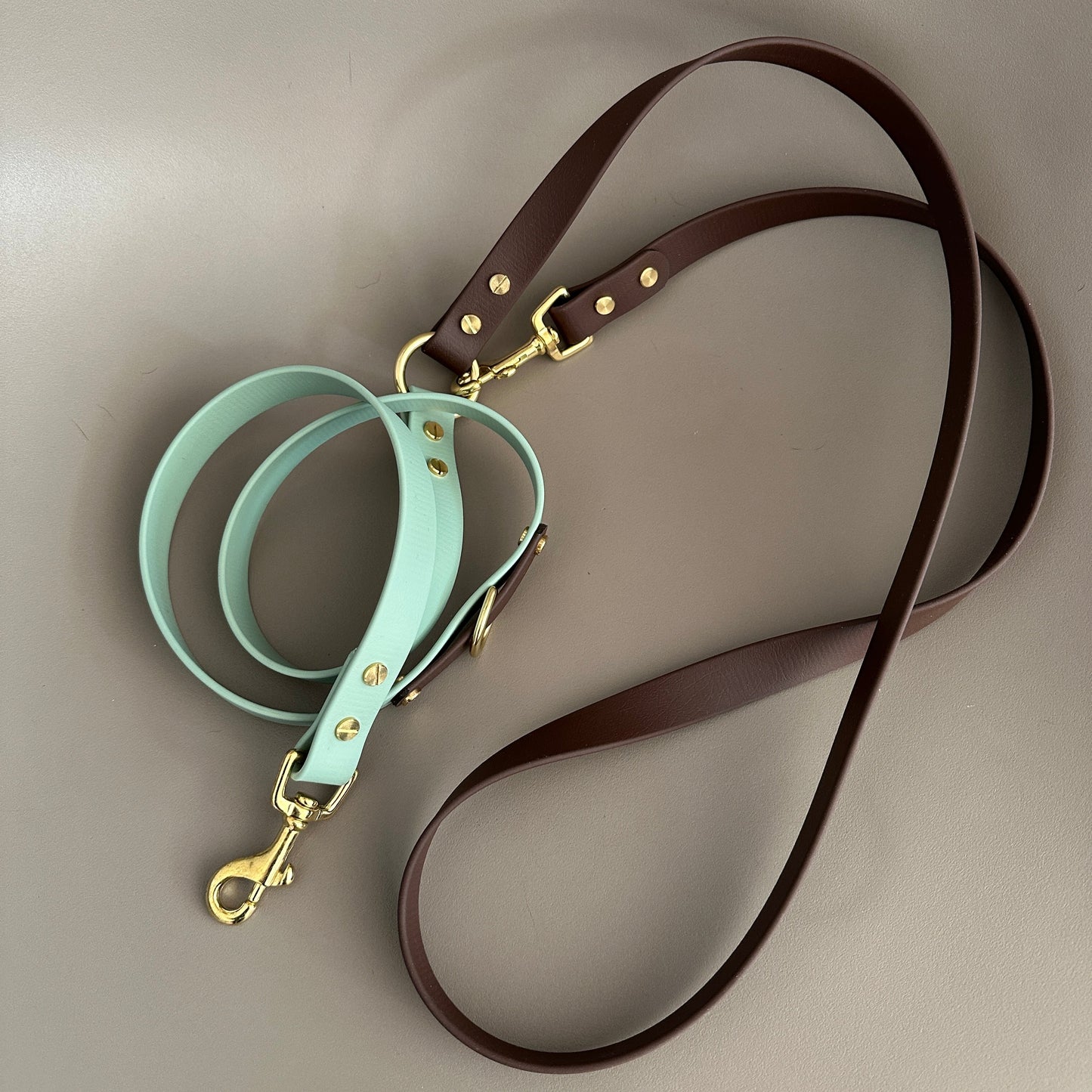 Crossbody Multiway BioThane® Lead