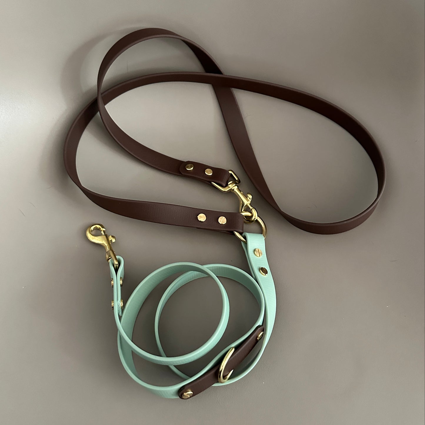 Ozzy Crossbody Multiway BioThane® Lead