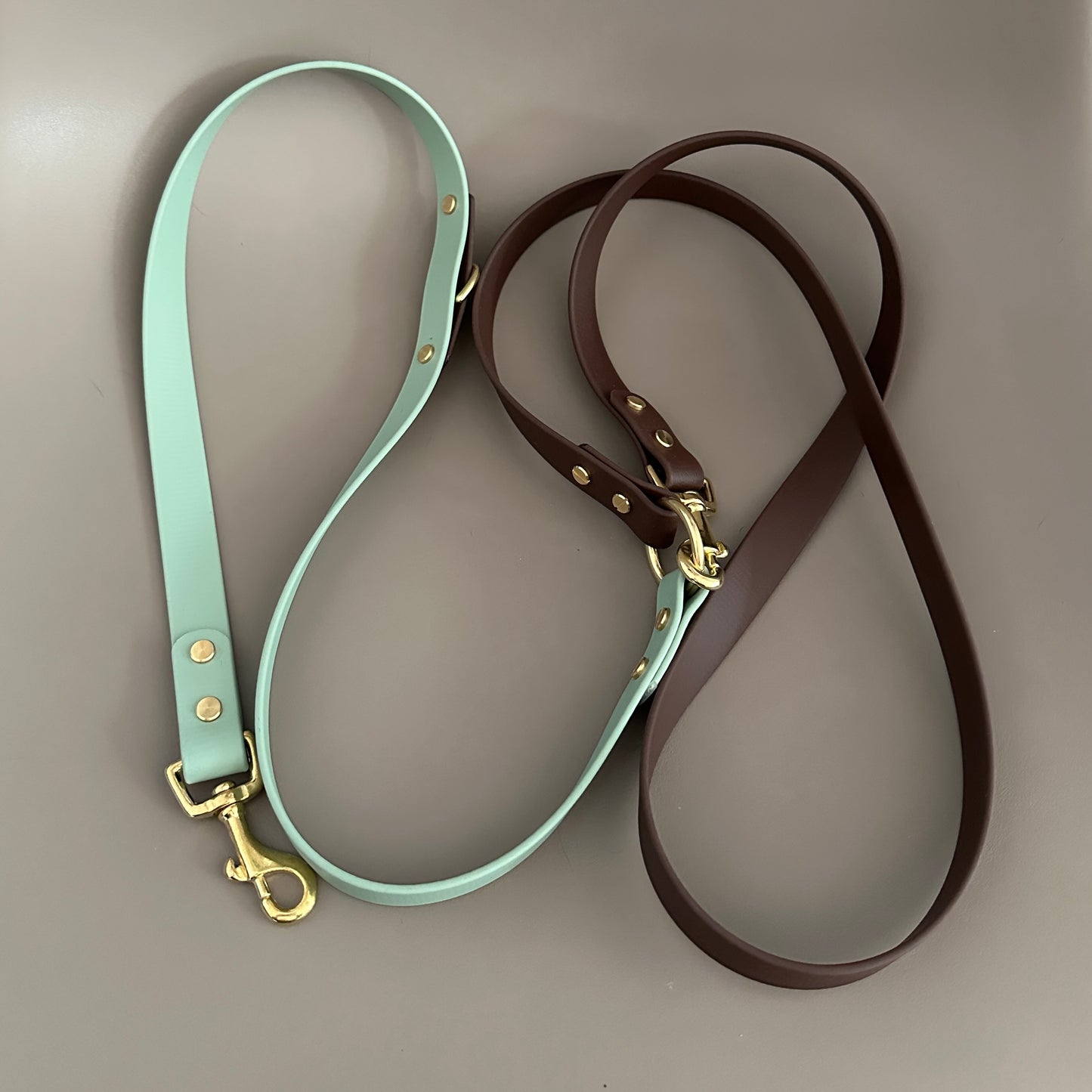Crossbody Multiway BioThane® Lead