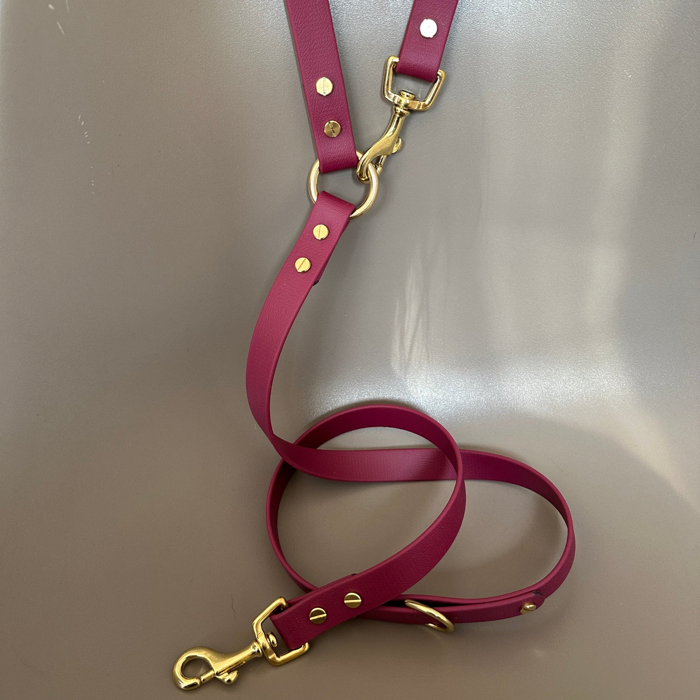 Crossbody Multiway BioThane® Lead