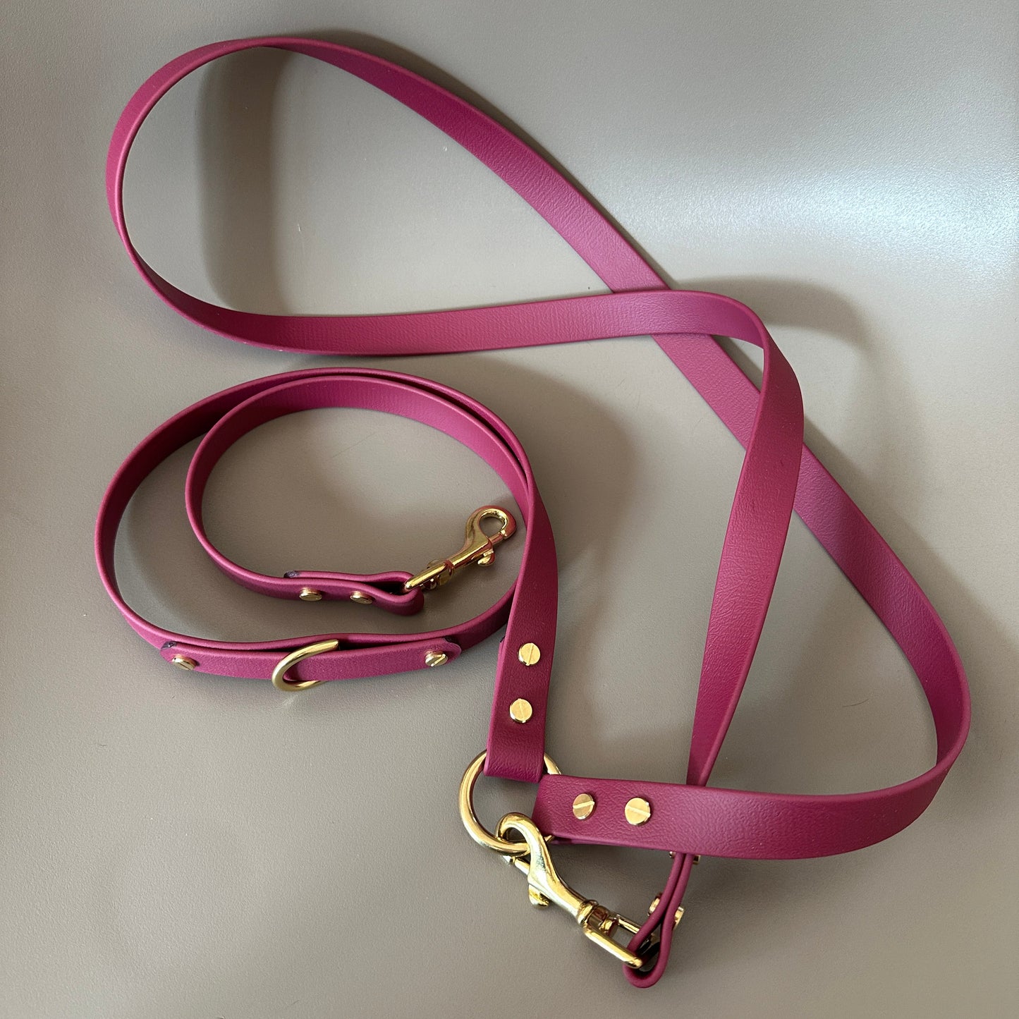Crossbody Multiway BioThane® Lead