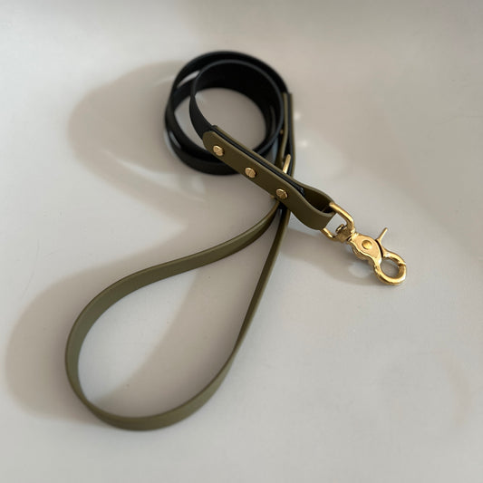 Rafe Colourblock BioThane® Lead