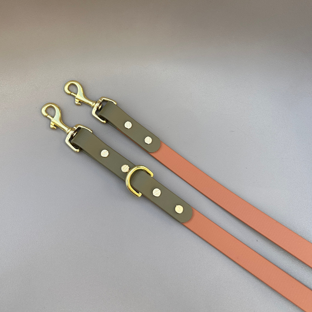 Multifunctional BioThane® Training Lead