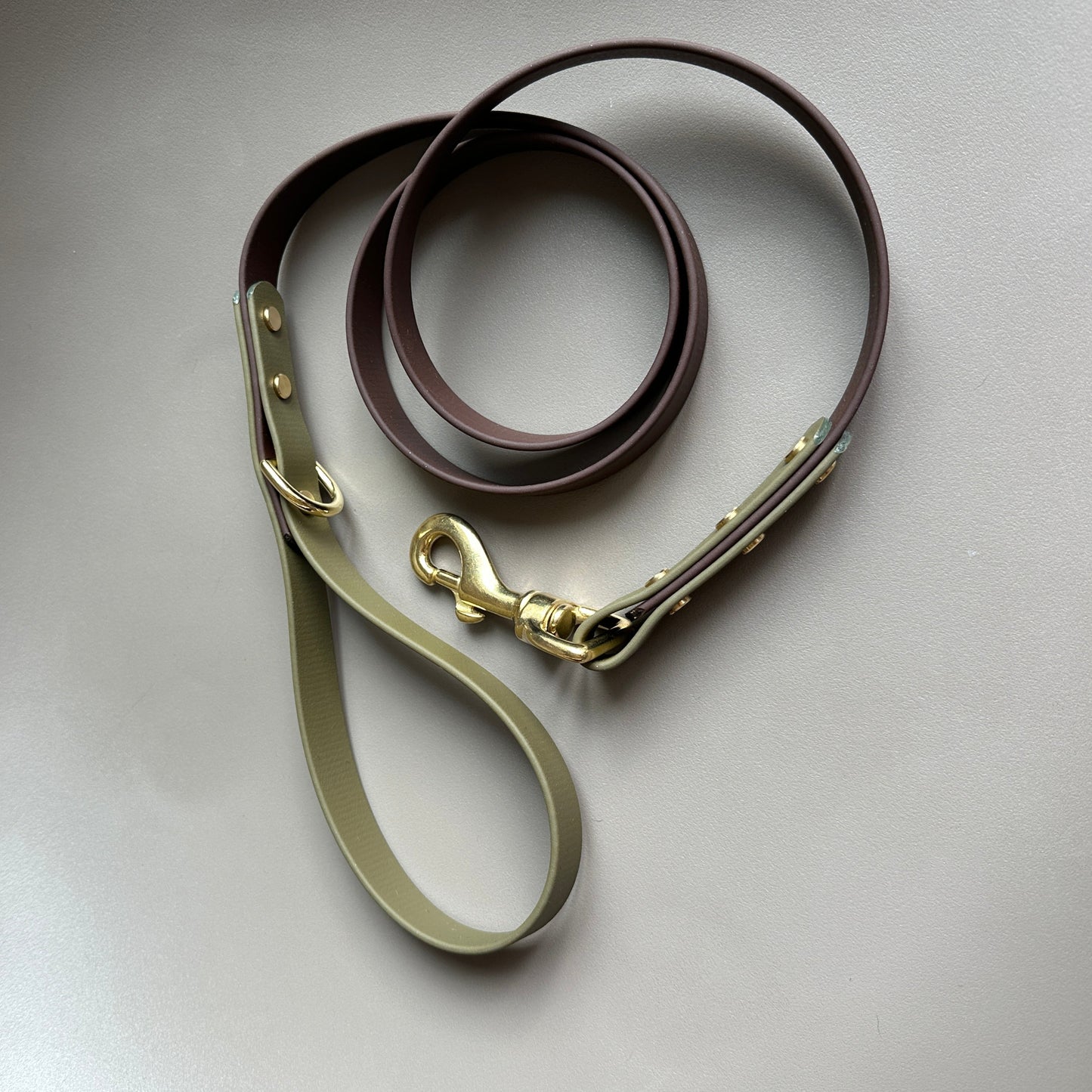 Milo Colourblock BioThane® Lead