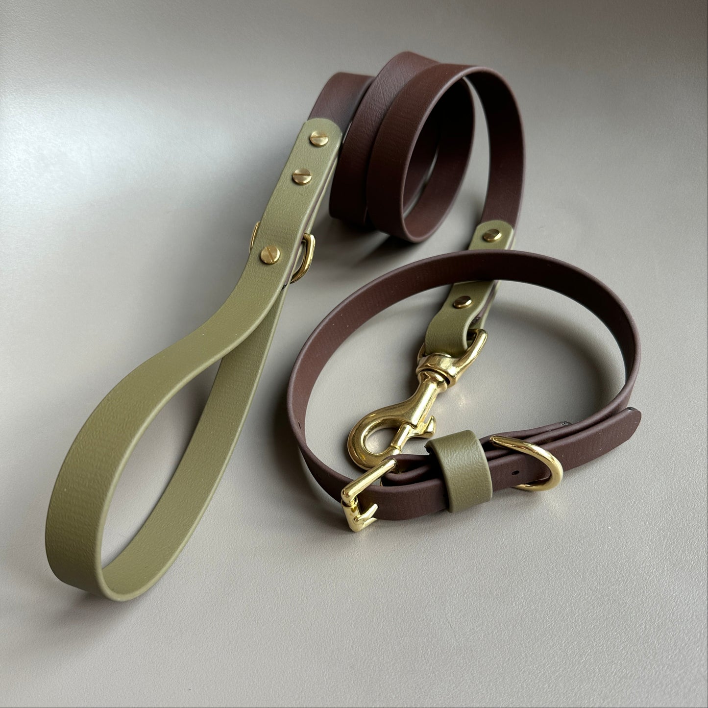 Milo Colourblock BioThane® Lead