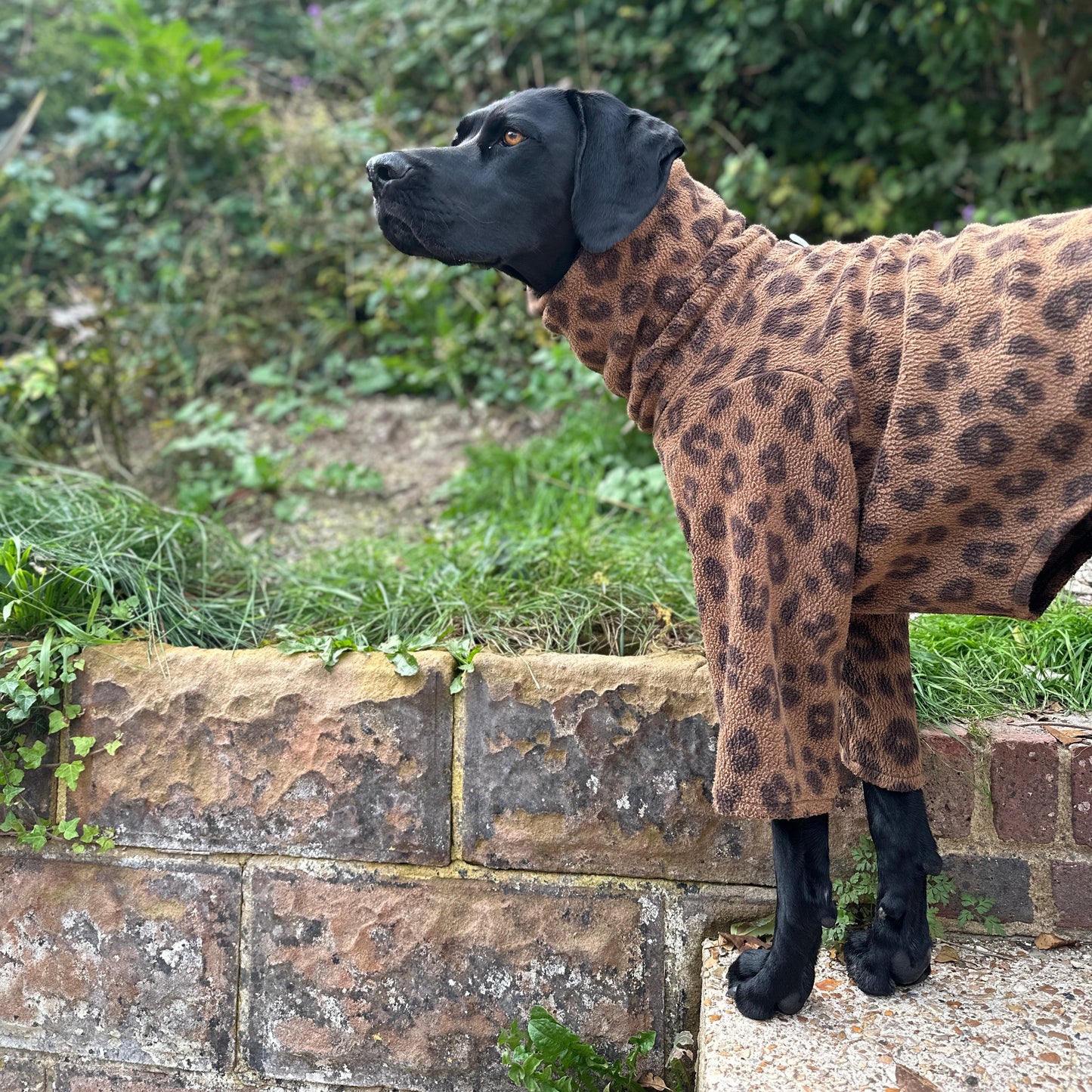 Leopard Print Fleece Dog Onesie
