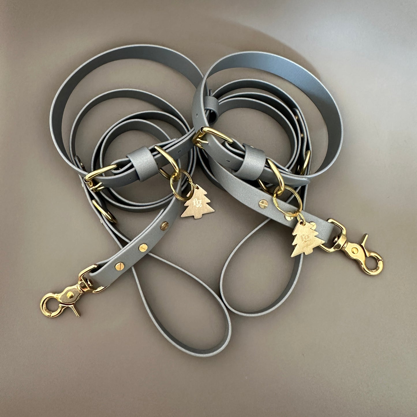 Silver BioThane® Lead