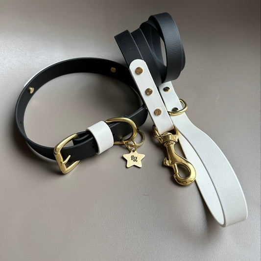 Darcy Colourband BioThane® Collar