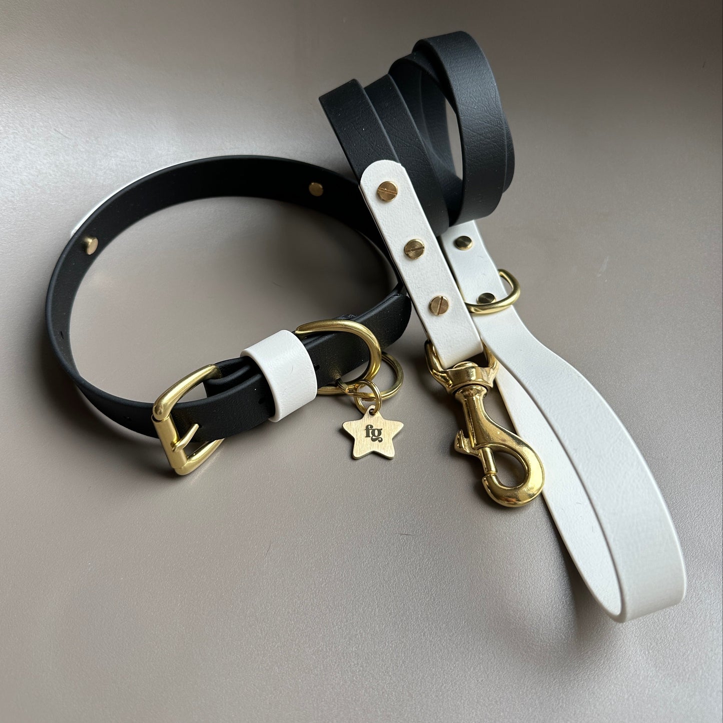 Darcy Colourblock BioThane® Lead