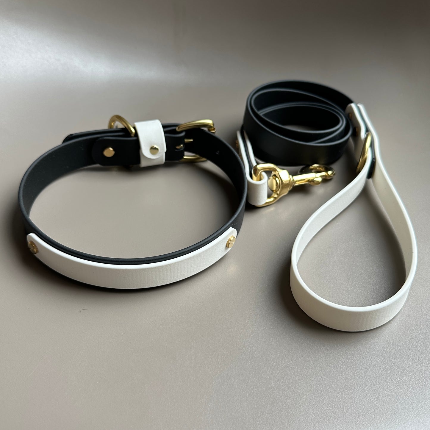 Darcy Colourband BioThane® Collar