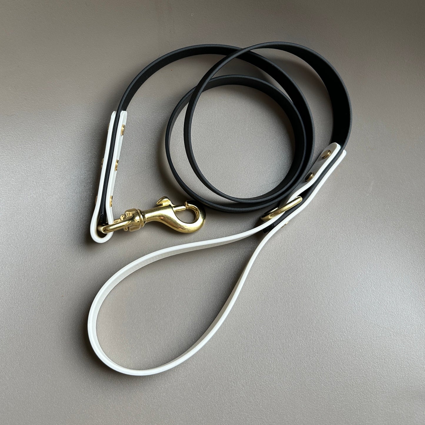 Darcy Colourblock BioThane® Lead