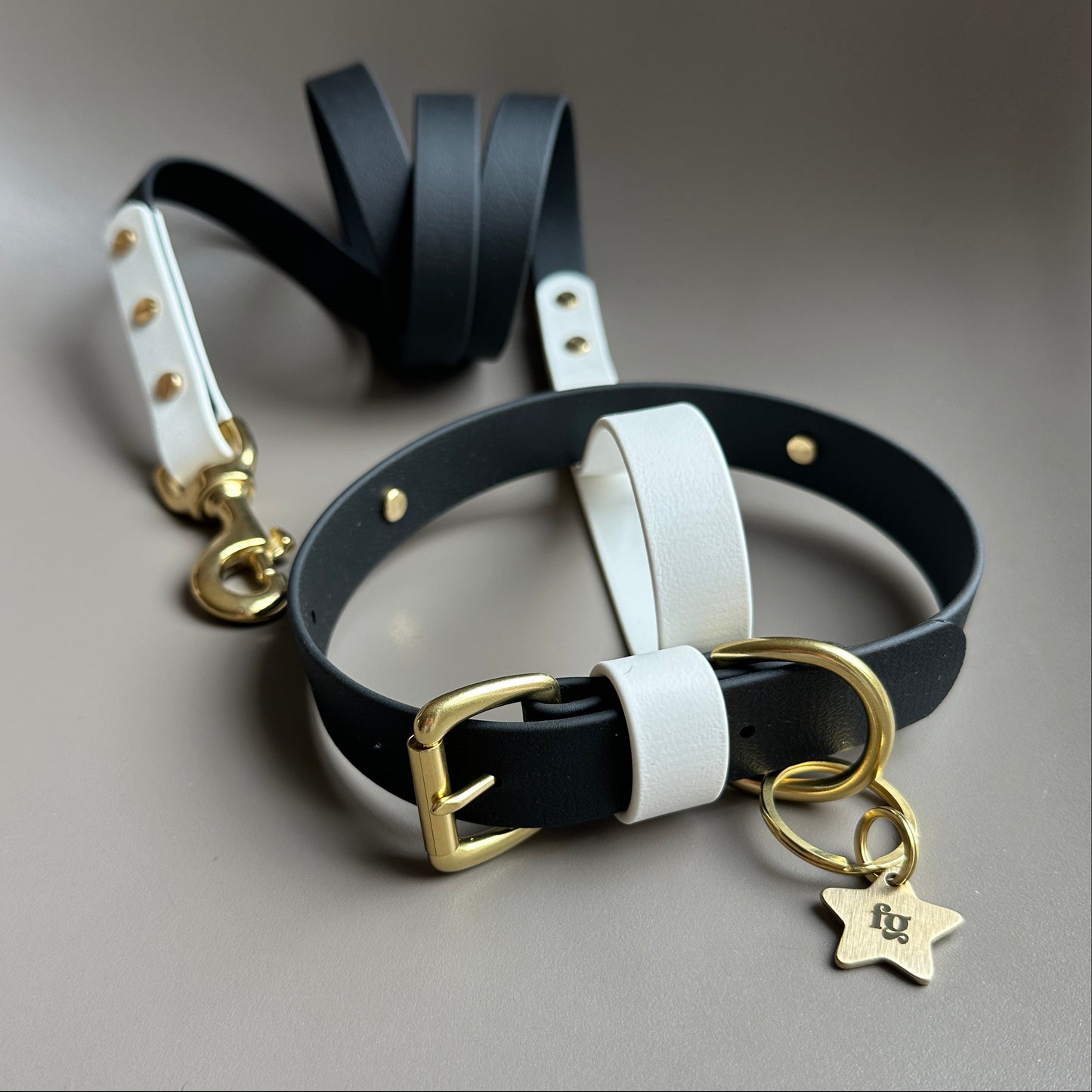 Darcy Colourblock BioThane® Lead