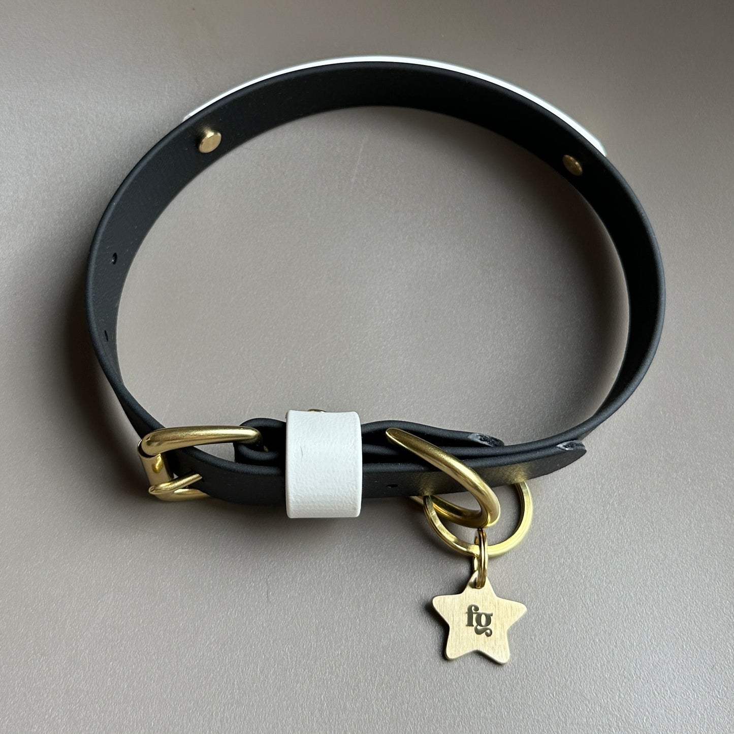 Darcy Colourband BioThane® Collar