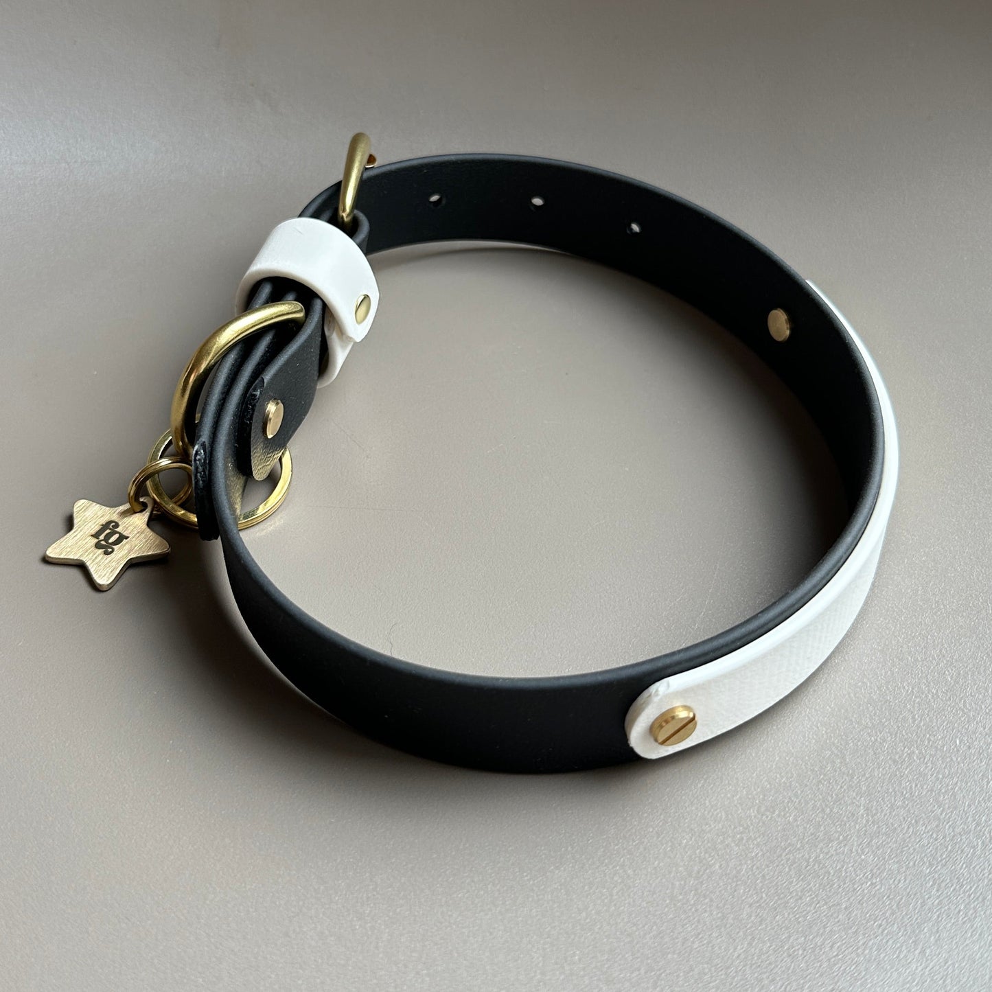 Darcy Colourband BioThane® Collar