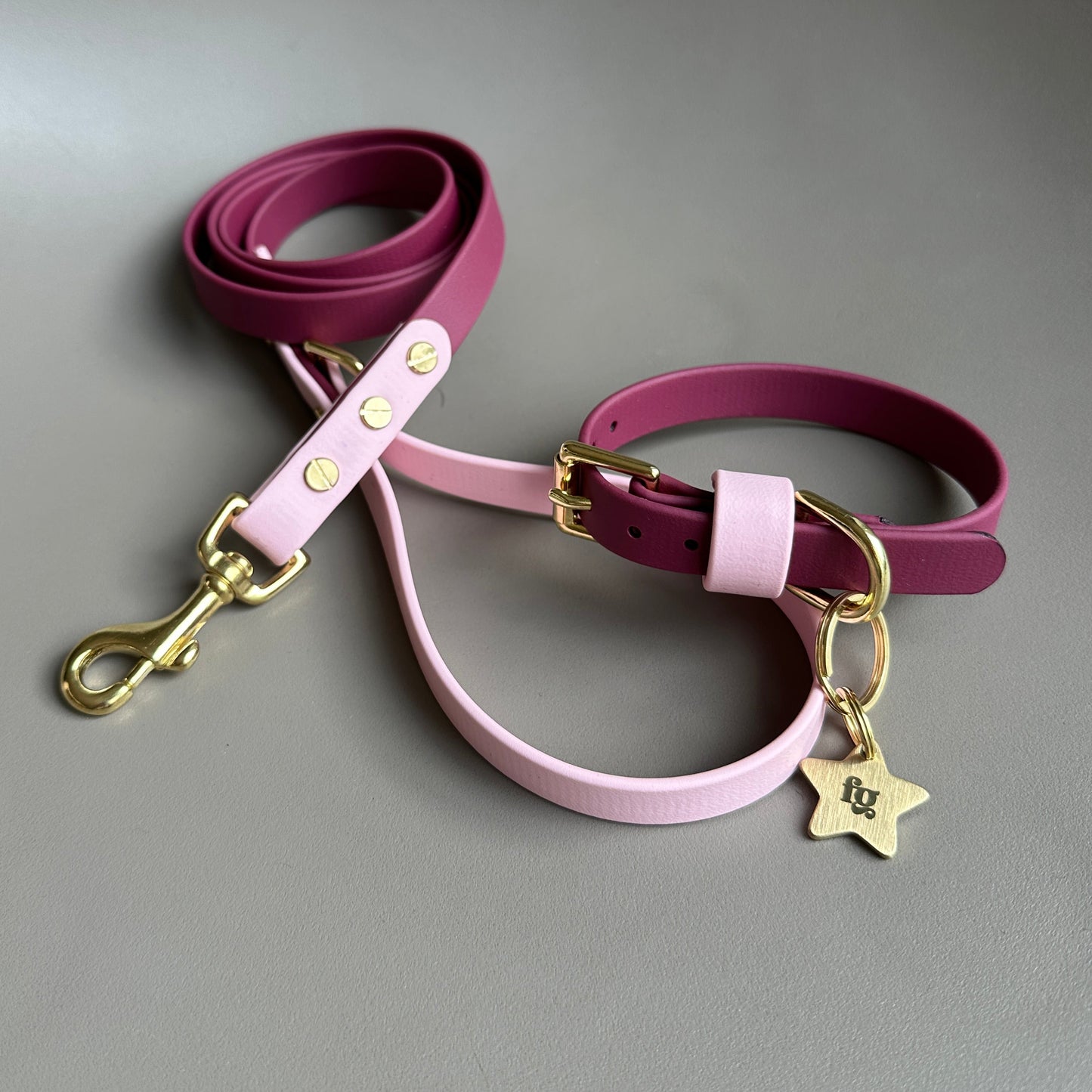 Claudie Mulberry Colourblock BioThane® Collar