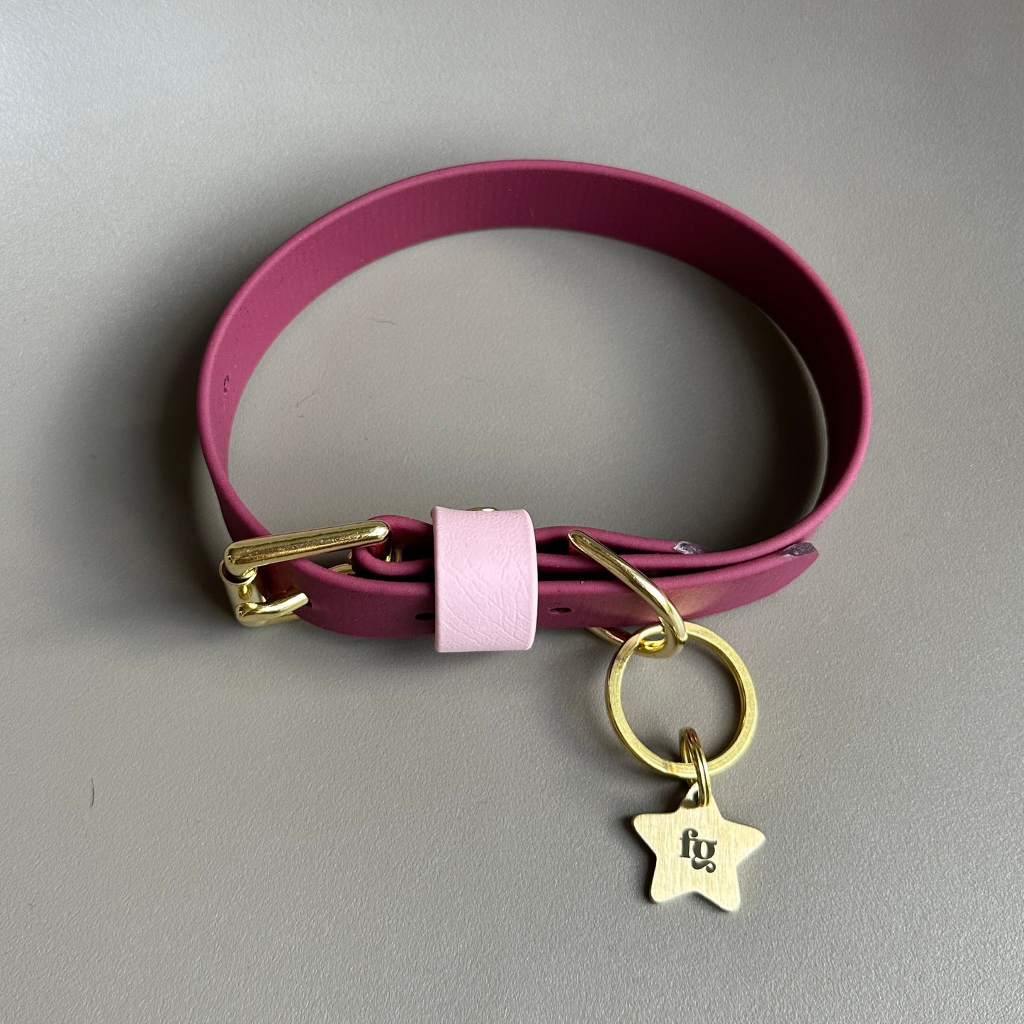 Claudie Mulberry Colourblock BioThane® Collar