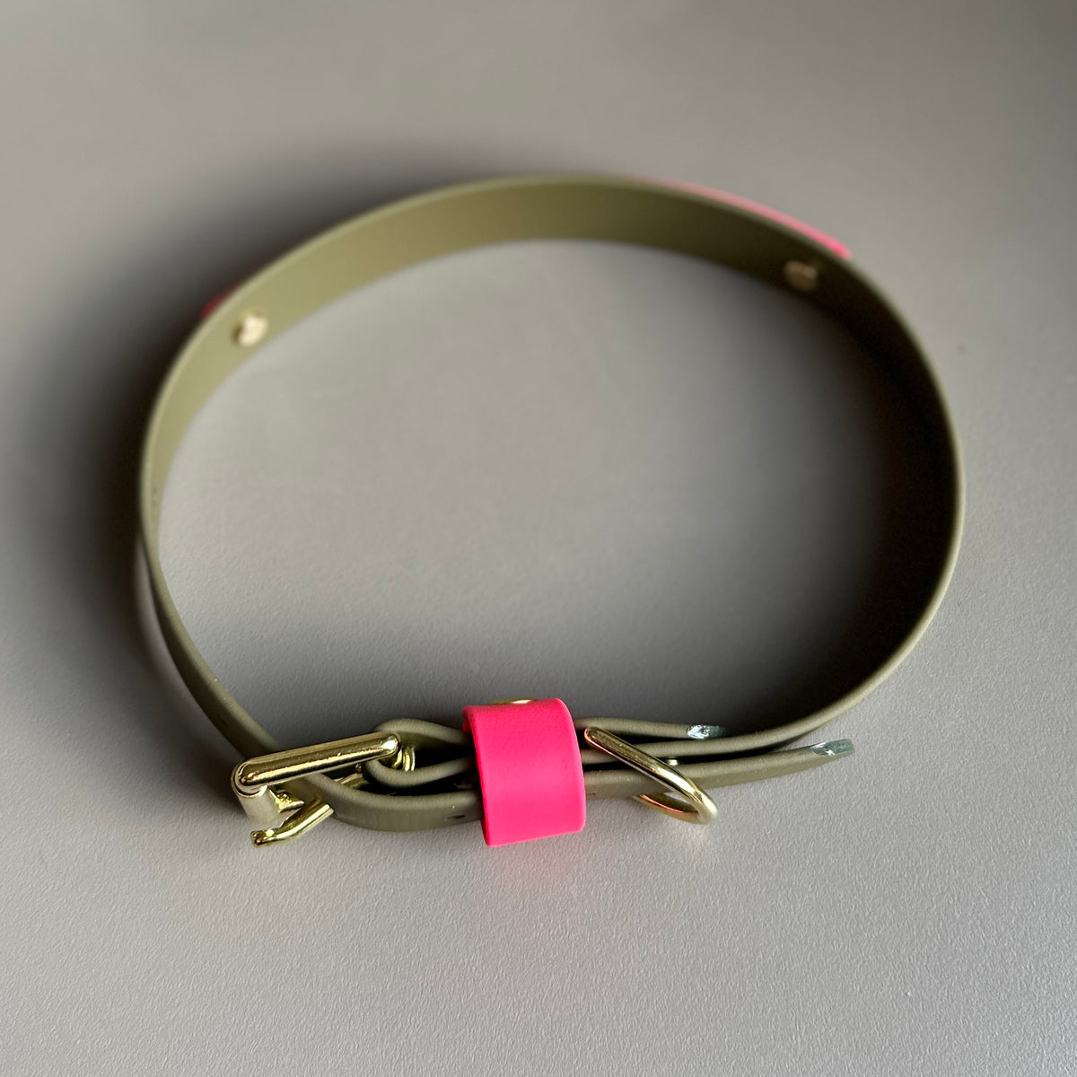 Wynnie Colourband BioThane® Collar