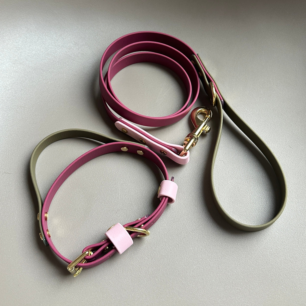 Pinot Colourblock BioThane® Lead