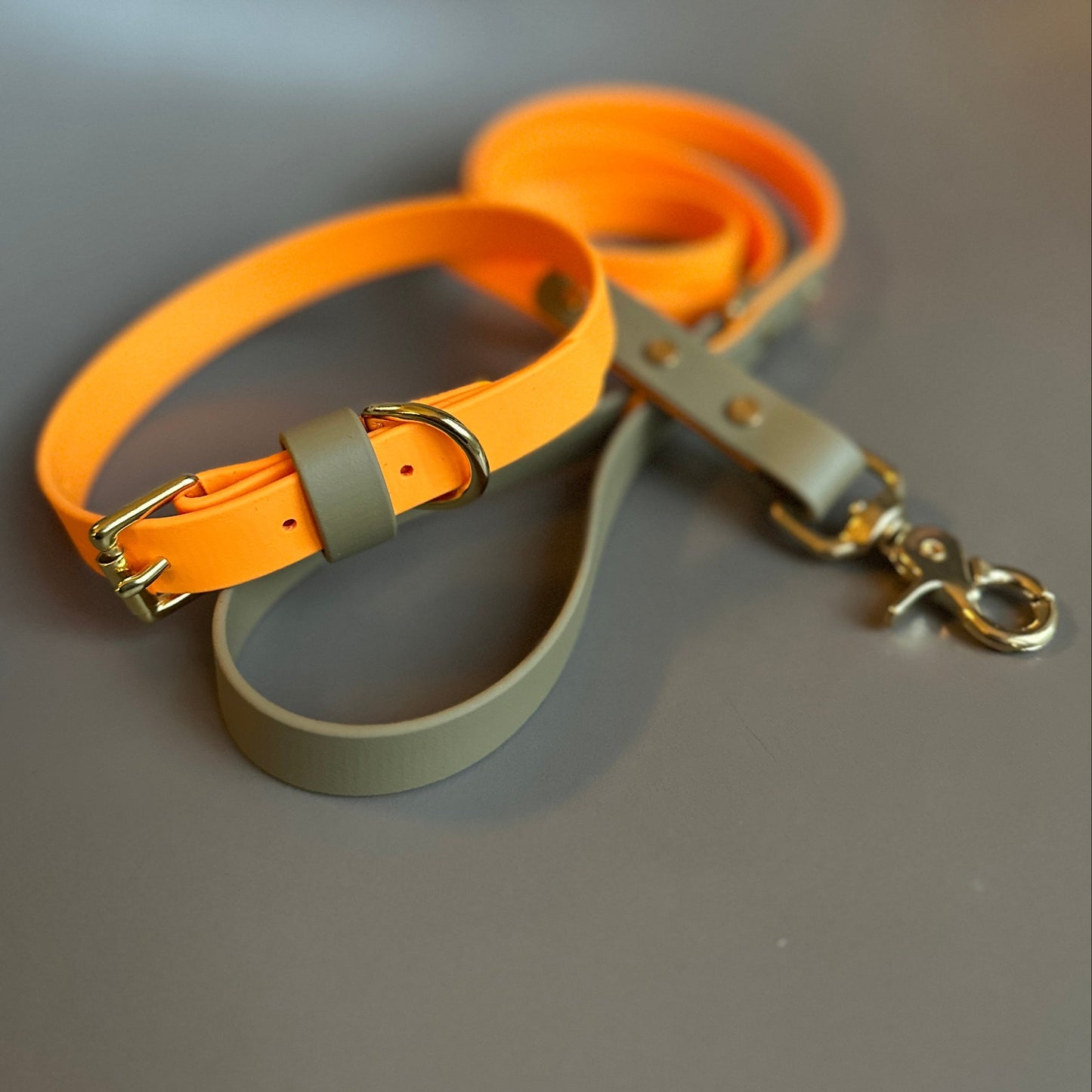 Freddie Colourblock BioThane® Lead