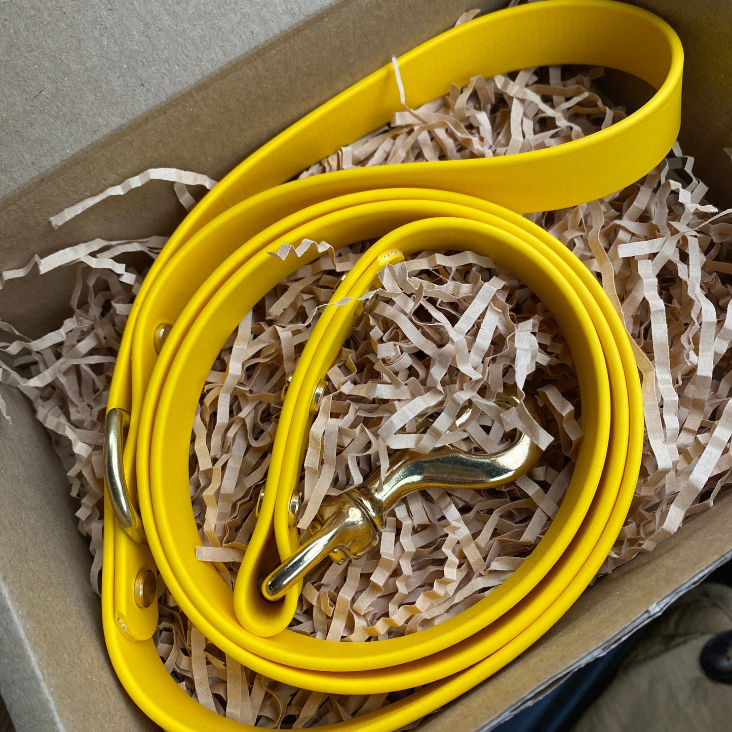 Sunflower BioThane® Lead