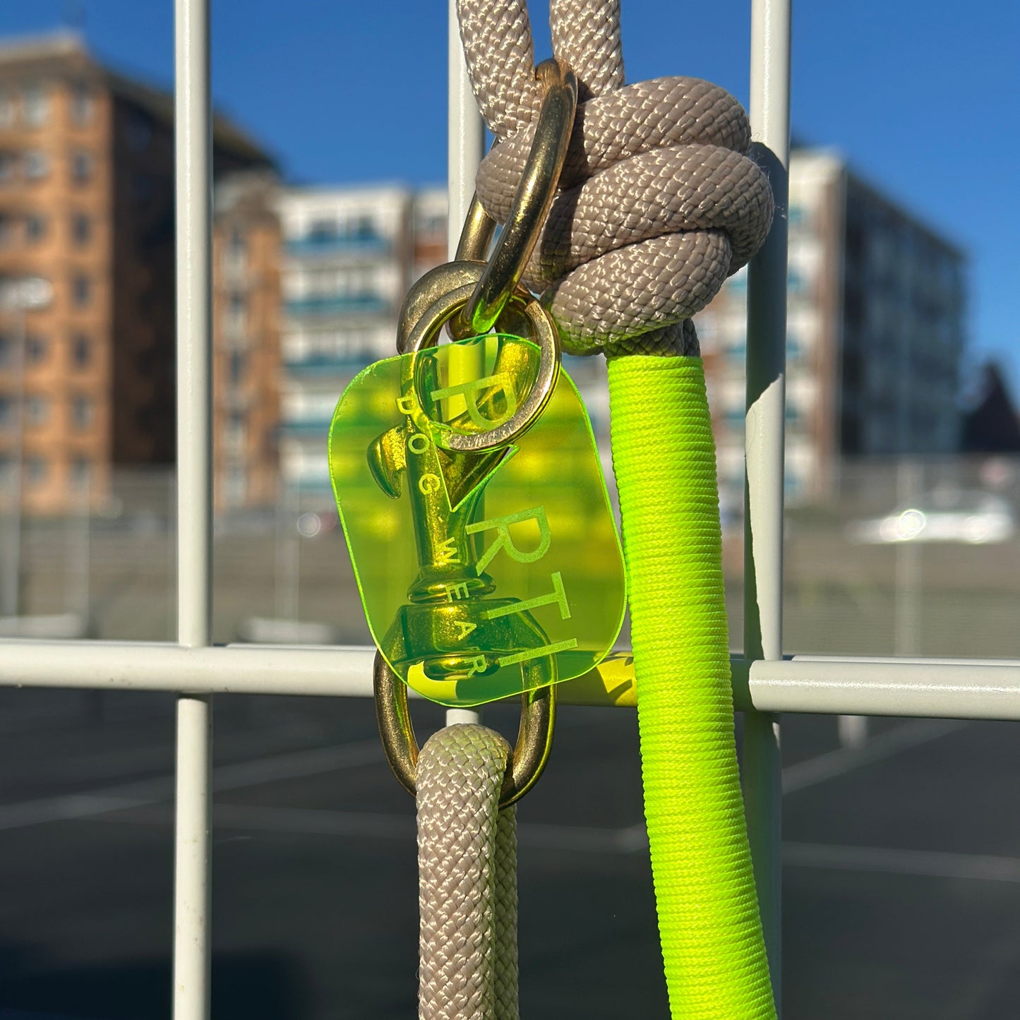 Rope Parti Dog Wear Lead