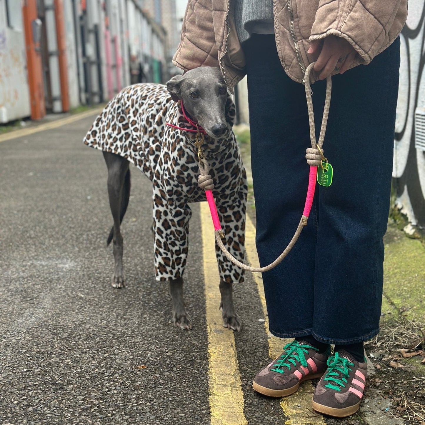 Rope Parti Dog Wear Lead