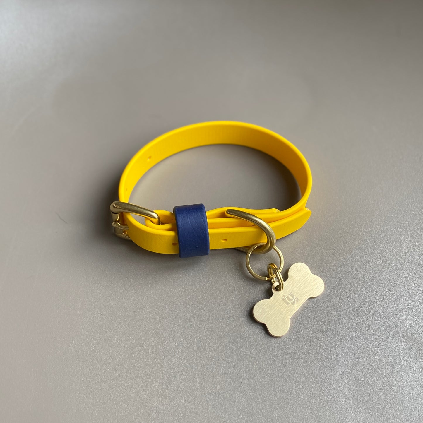 Sunny Colourblock BioThane® Collar