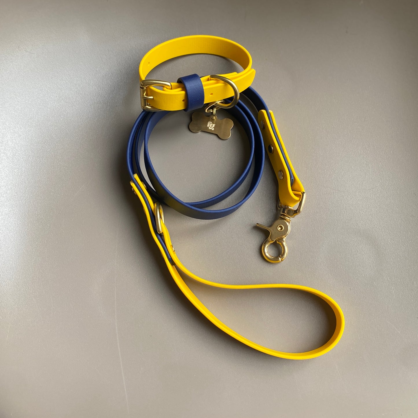 Sunny Colourblock BioThane® Lead