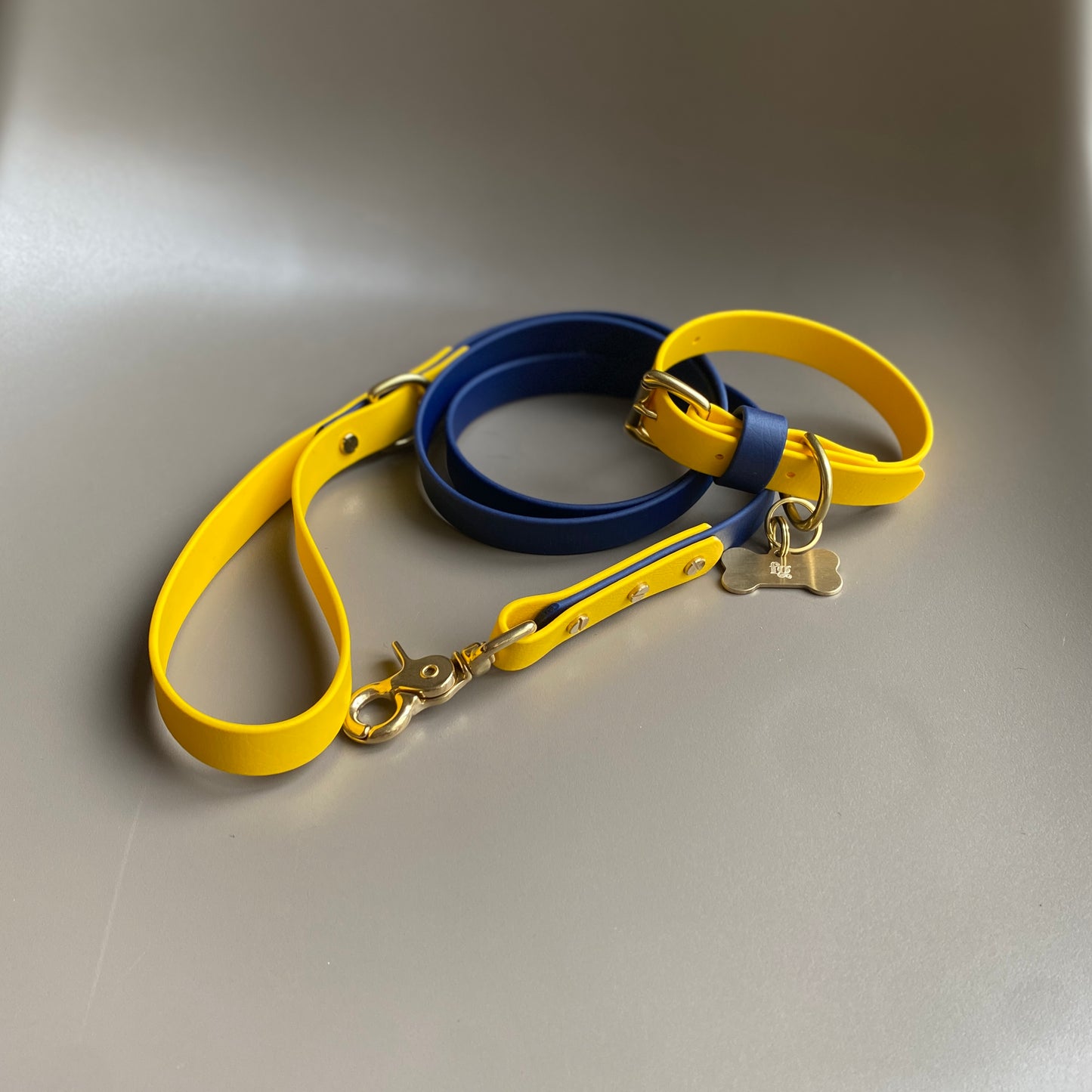 Sunny Colourblock BioThane® Collar