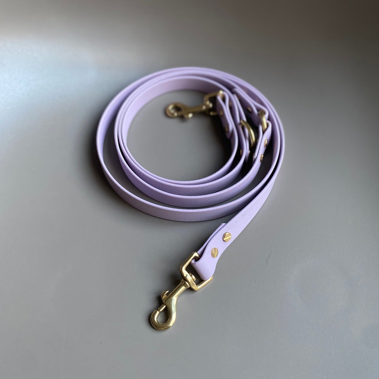 Multiway Crossbody BioThane® Lead