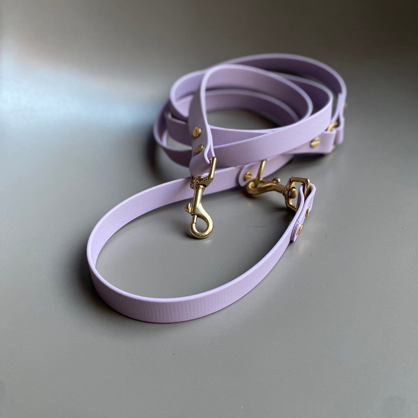 Multiway Crossbody BioThane® Lead