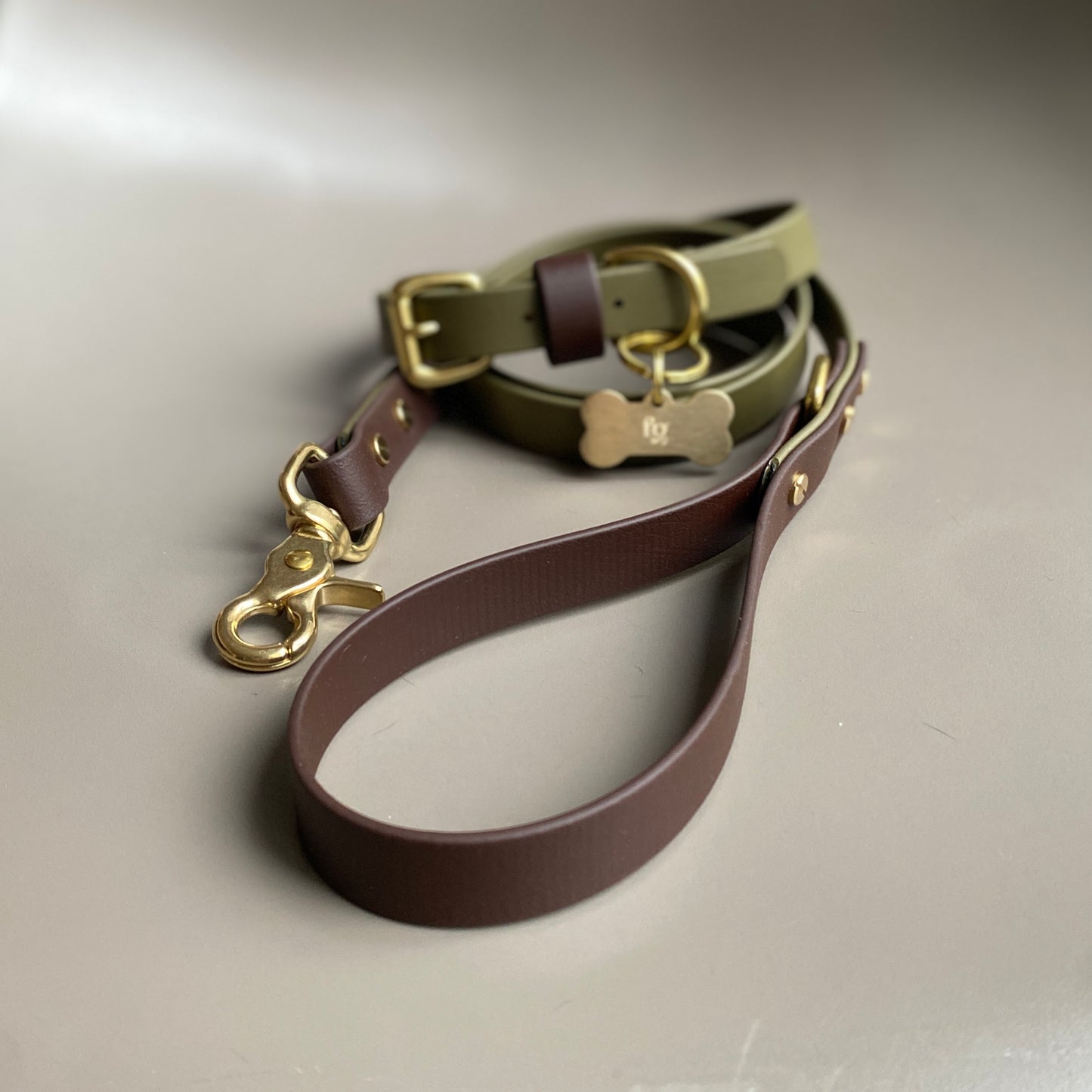 Otto Colourblock BioThane® Lead