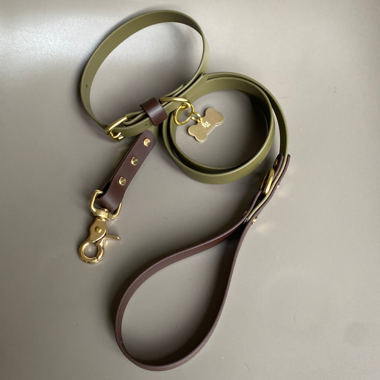 Otto Colourblock BioThane® Lead