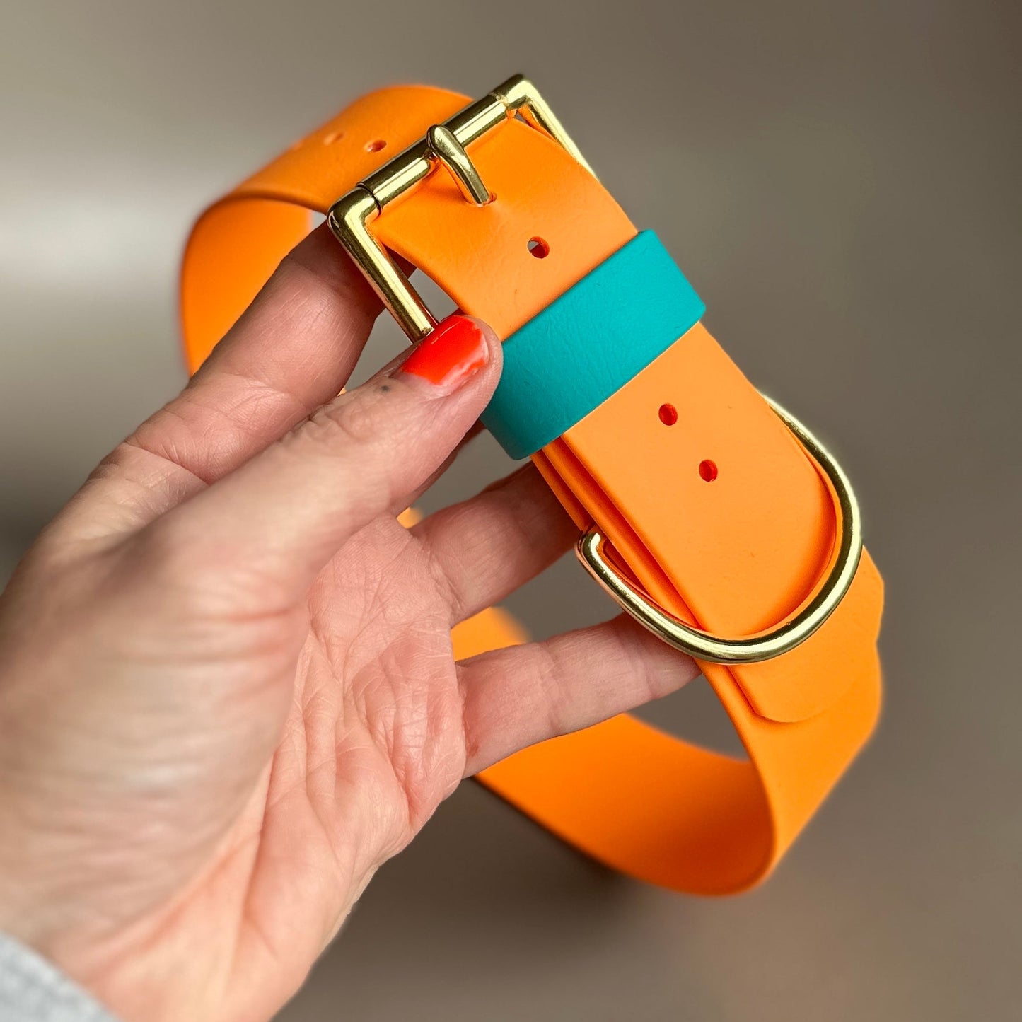 Argyle Wide 38mm BioThane® Collar