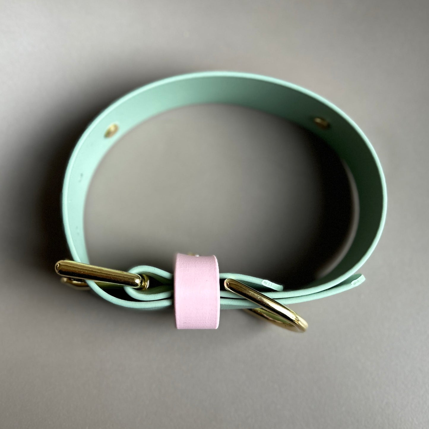 Mini Egg Wide 38mm BioThane® Collar