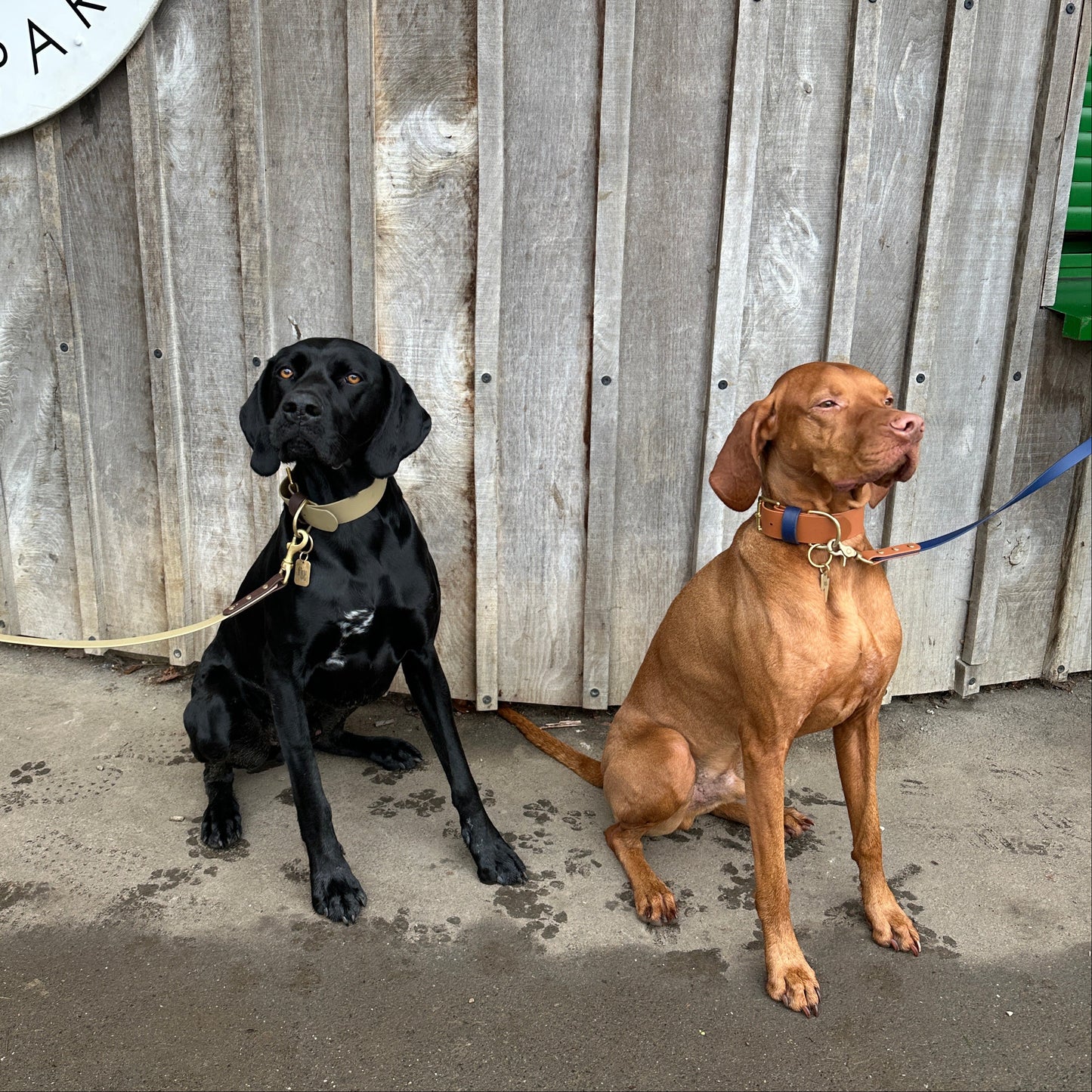 Bud Wide 38mm BioThane® Collar