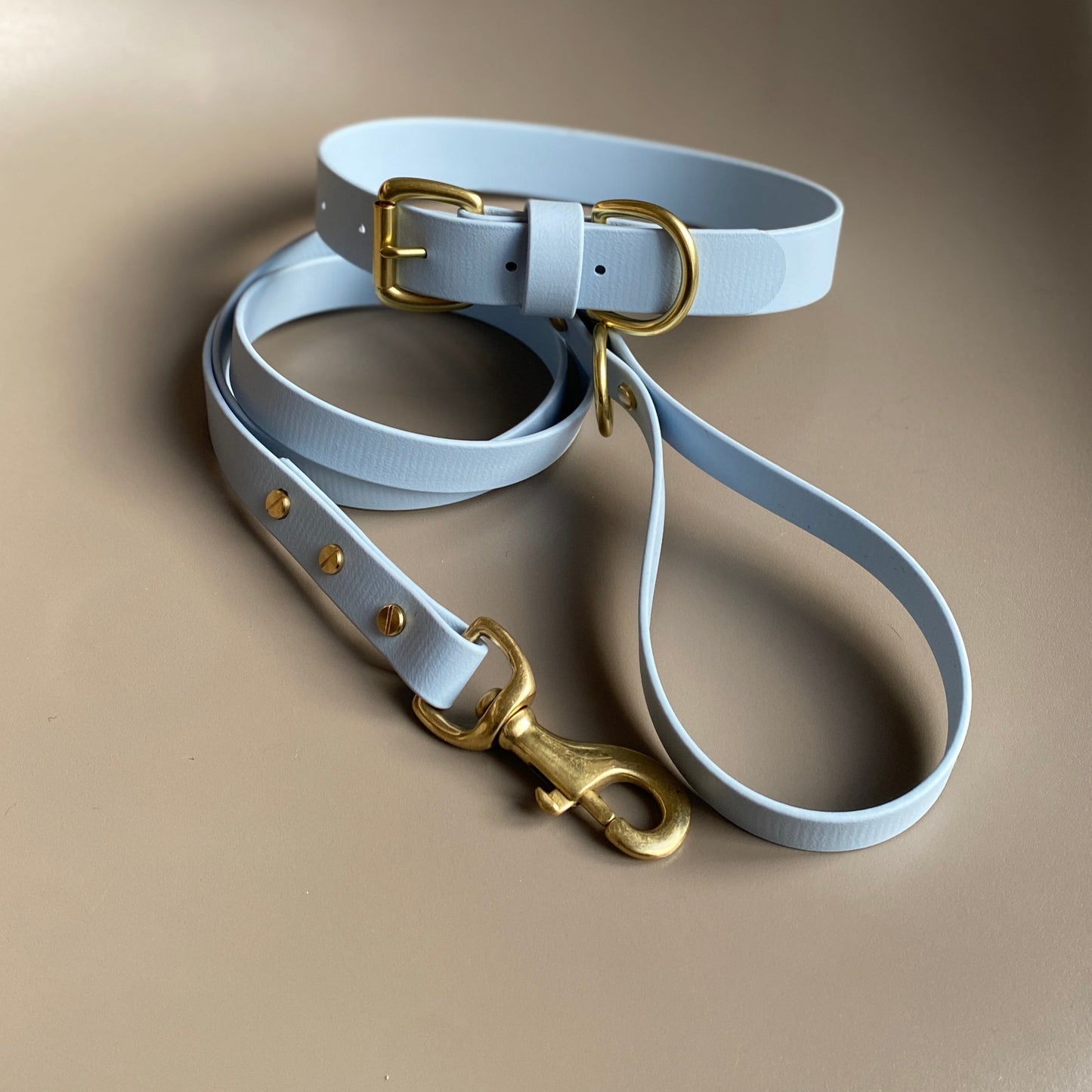 Powder Blue BioThane® Lead