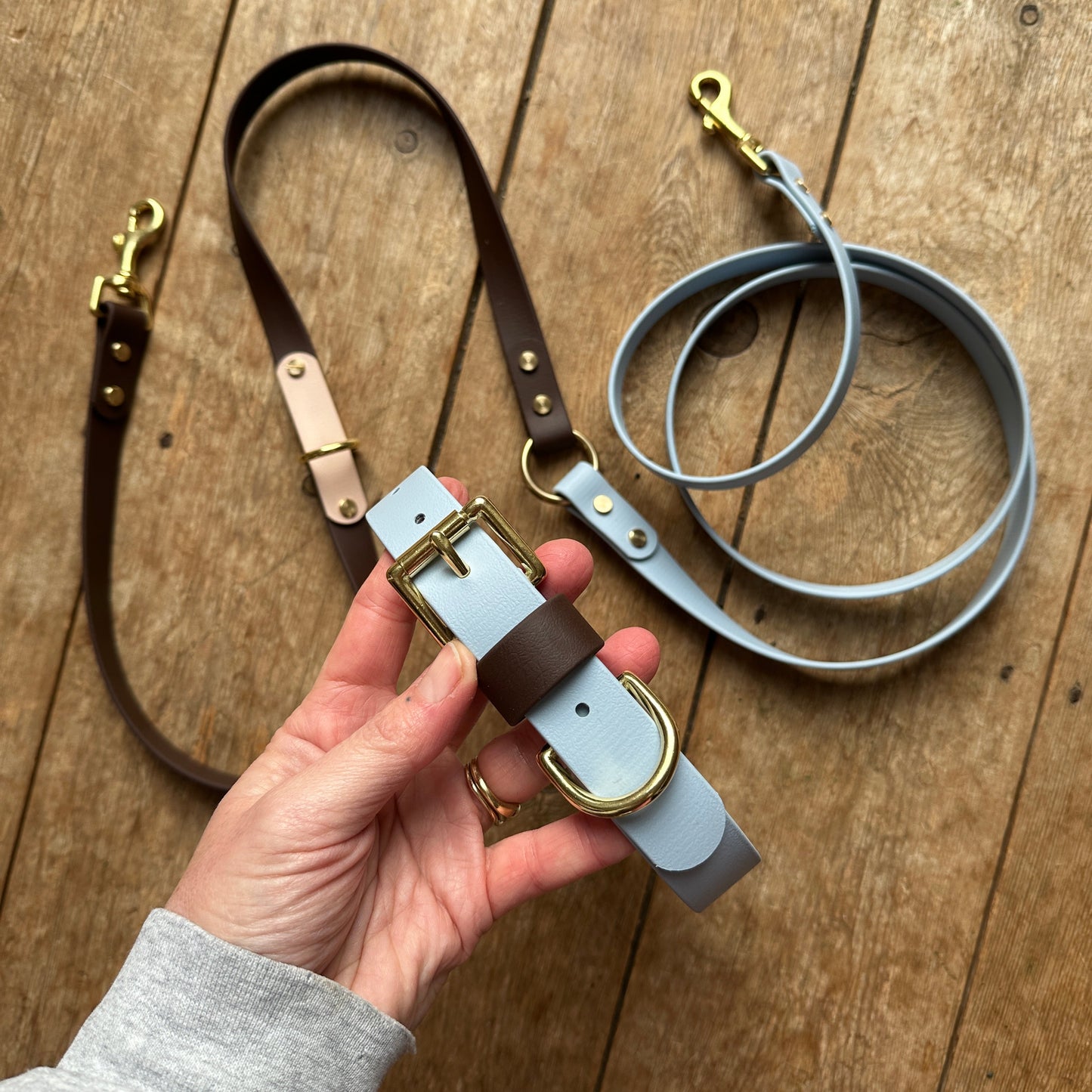 Reuben Crossbody Multiway BioThane® Lead