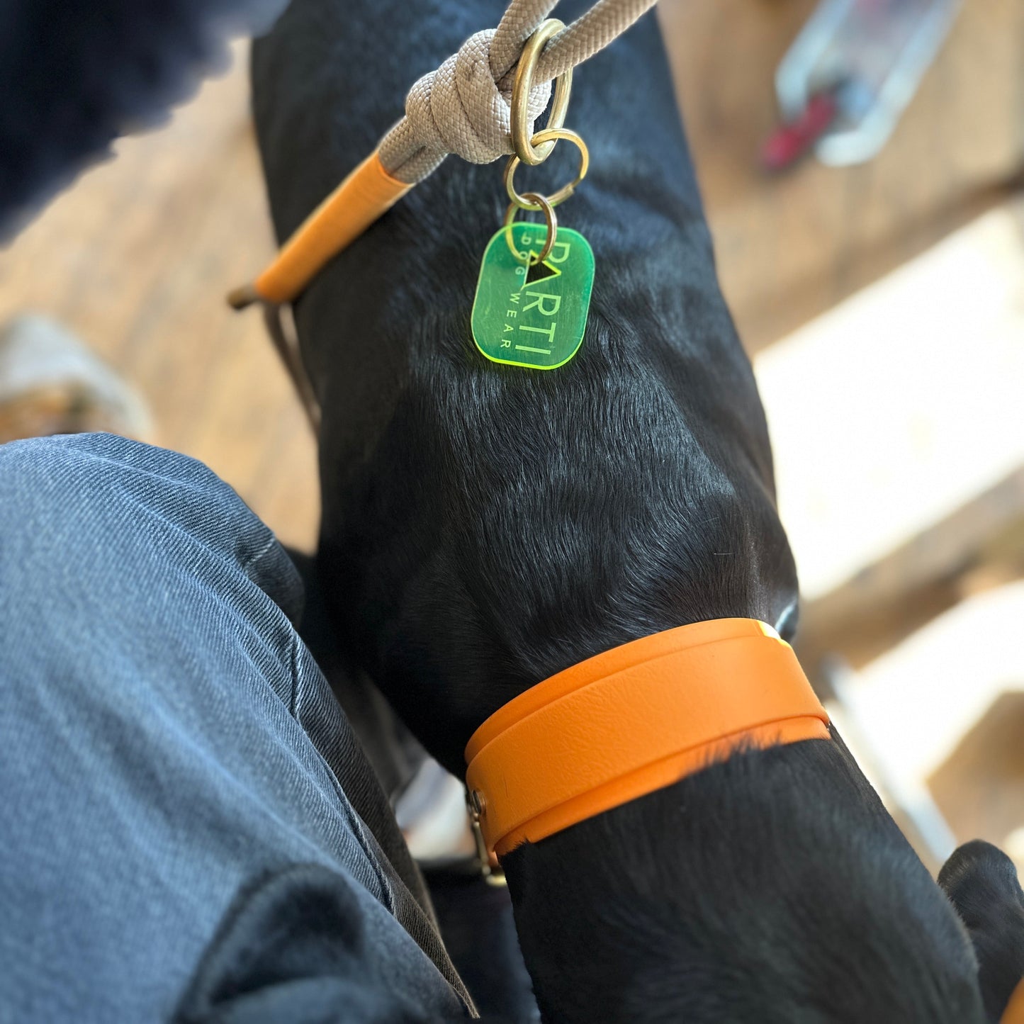 BioThane® Hound Style Collar