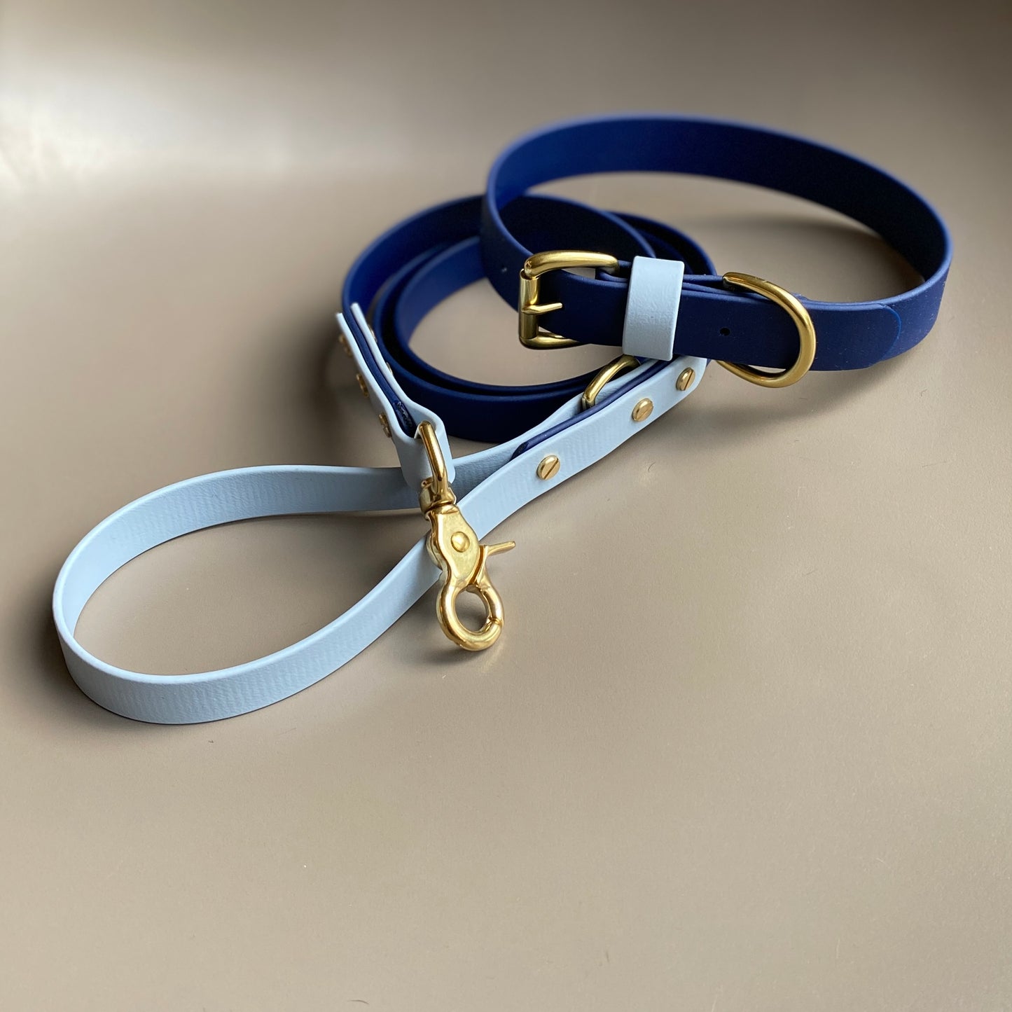 Tatze Colourblock BioThane® Lead