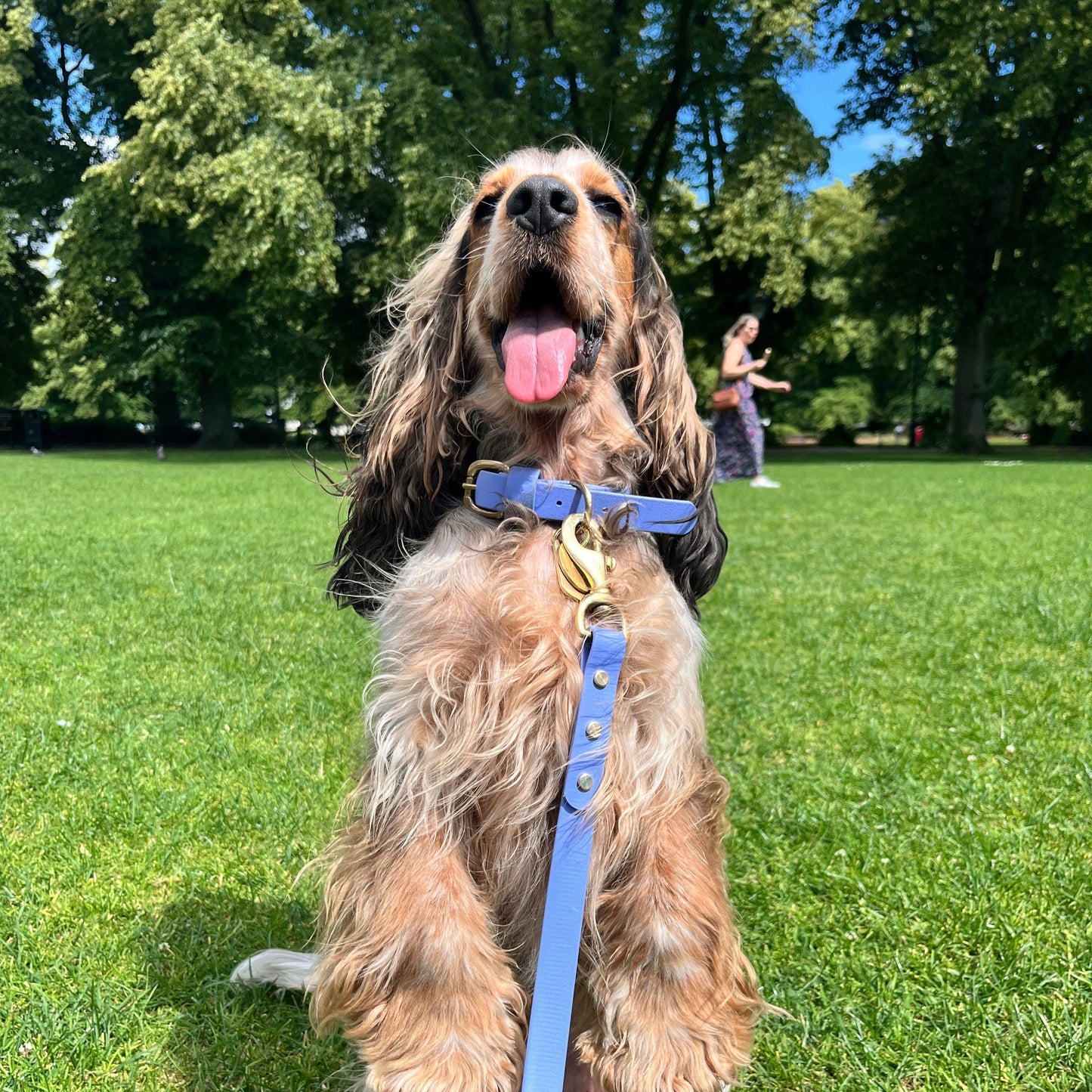 Bluebell BioThane® Collar